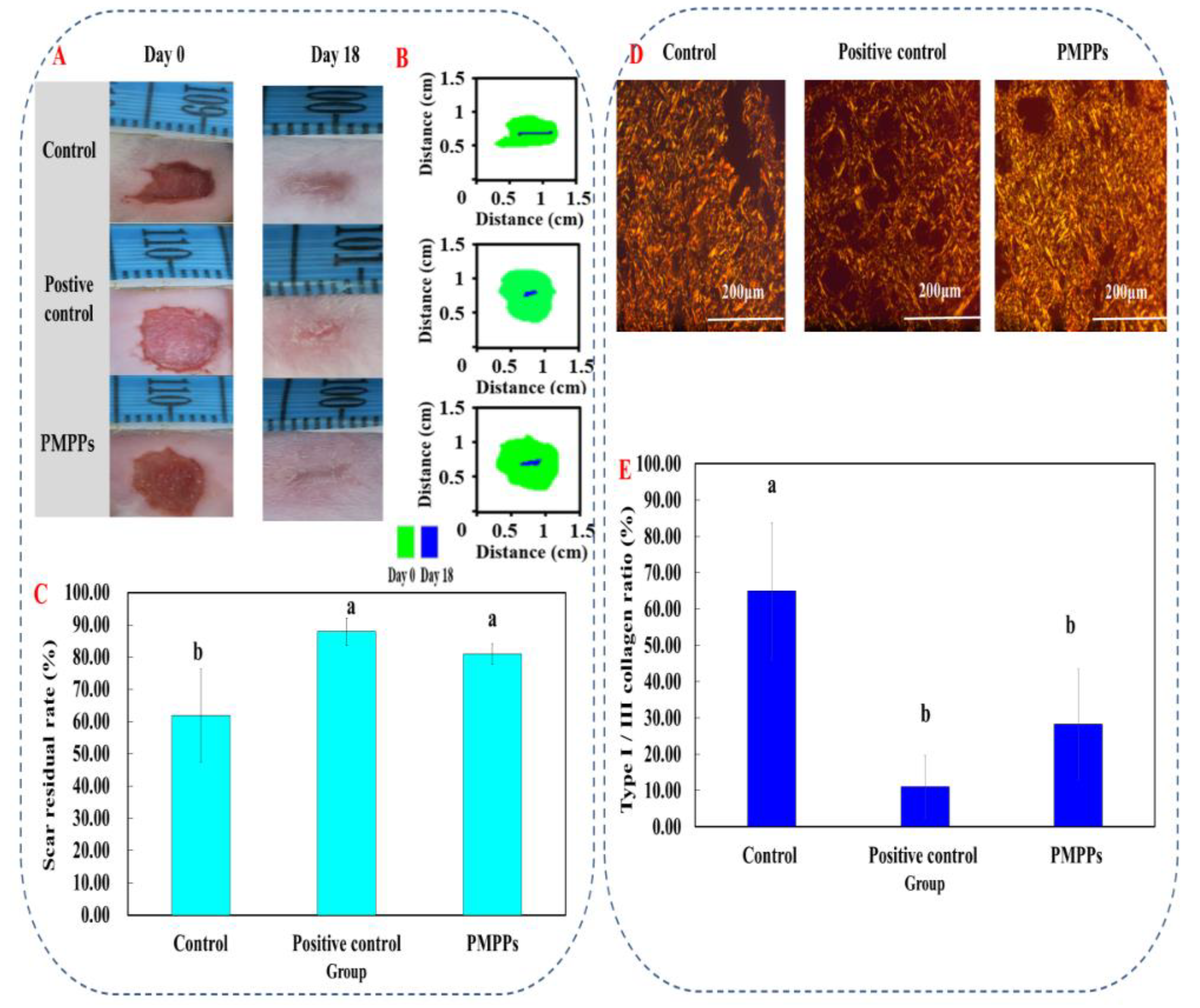 Marinedrugs 20 00417 g007 550