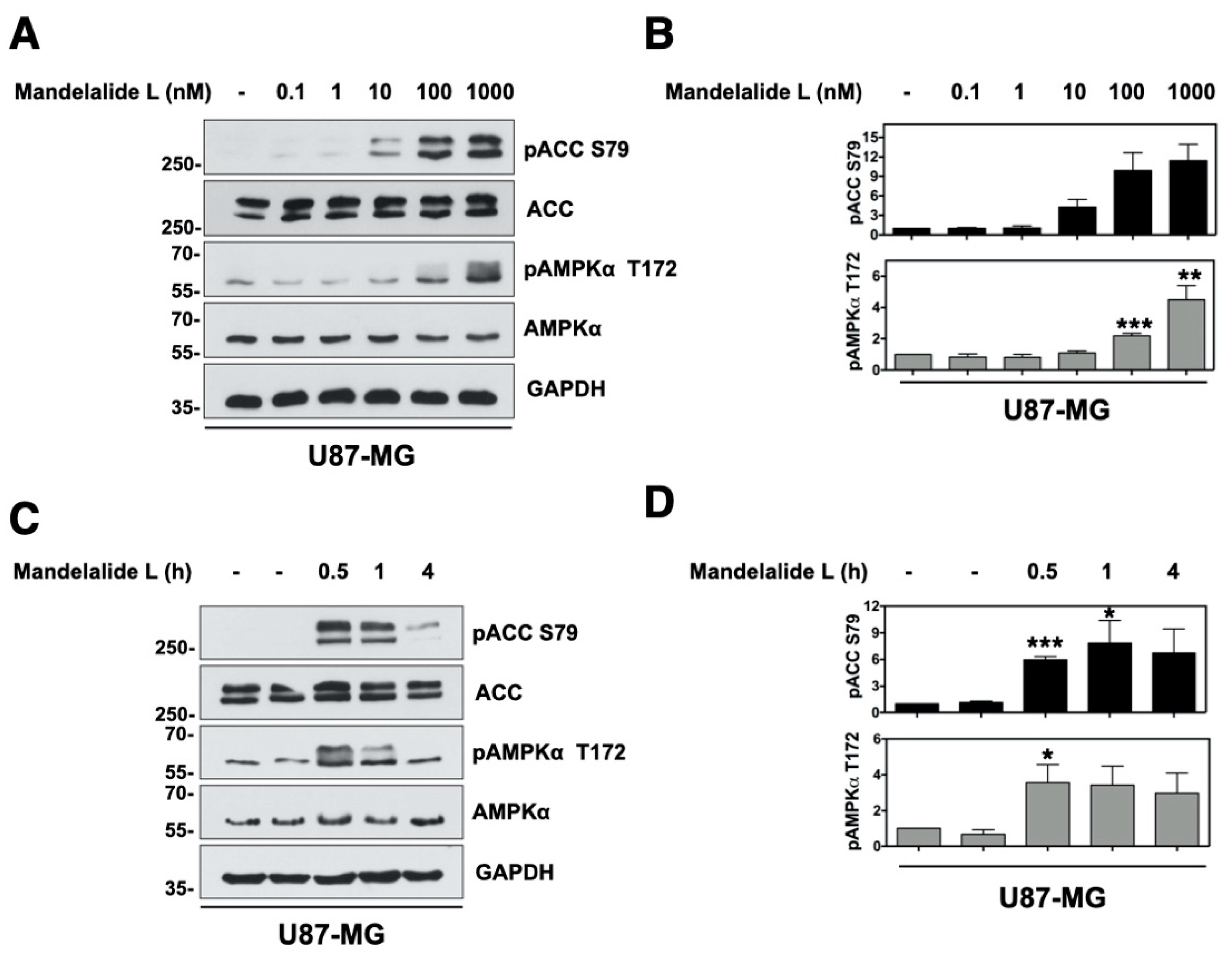 Marinedrugs 20 00418 g007 Marinedrugs 20 00418 g007