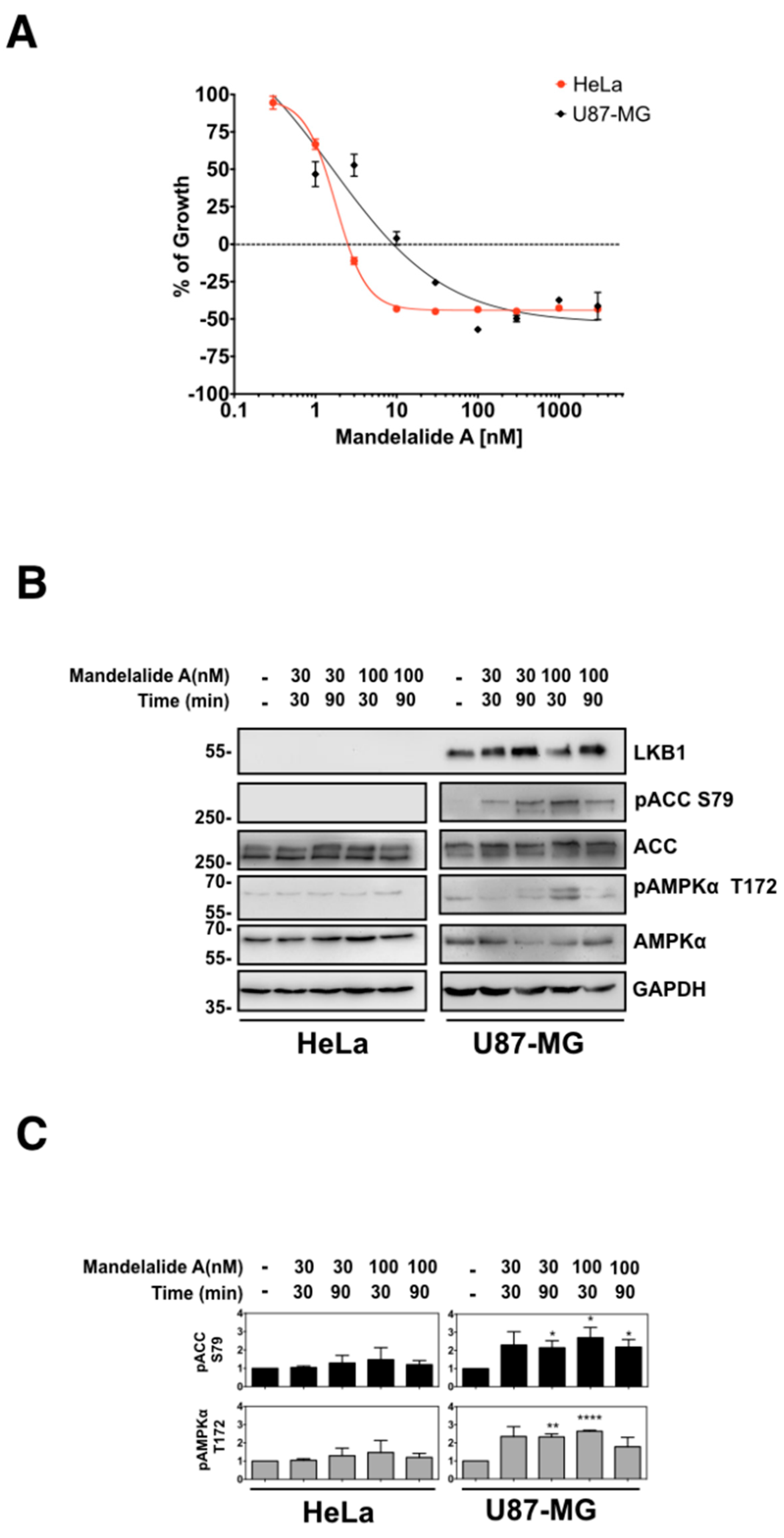 Marinedrugs 20 00418 g0a1 Marinedrugs 20 00418 g0a1