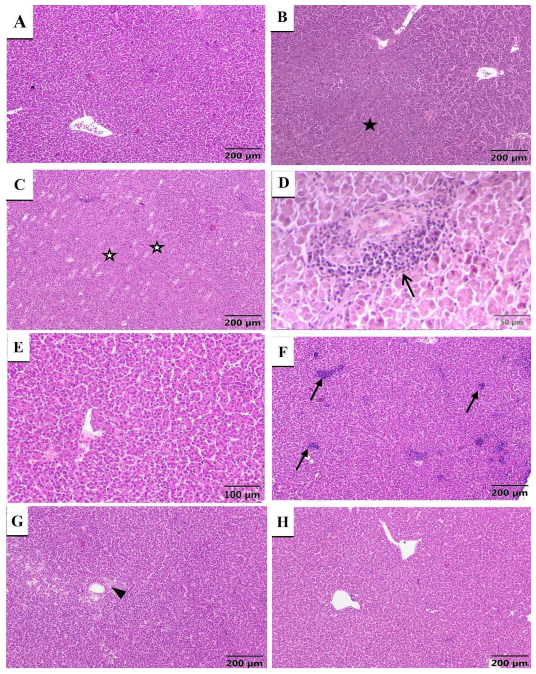 Marinedrugs 20 00425 g009 550