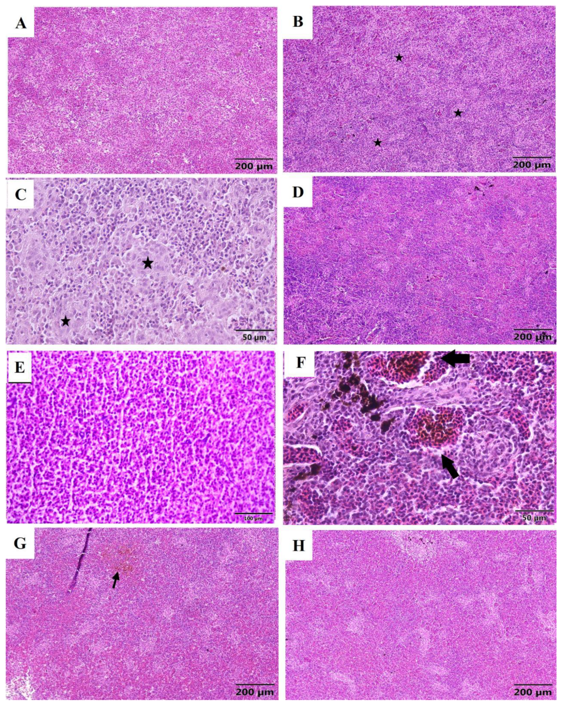 Marinedrugs 20 00425 g010 550