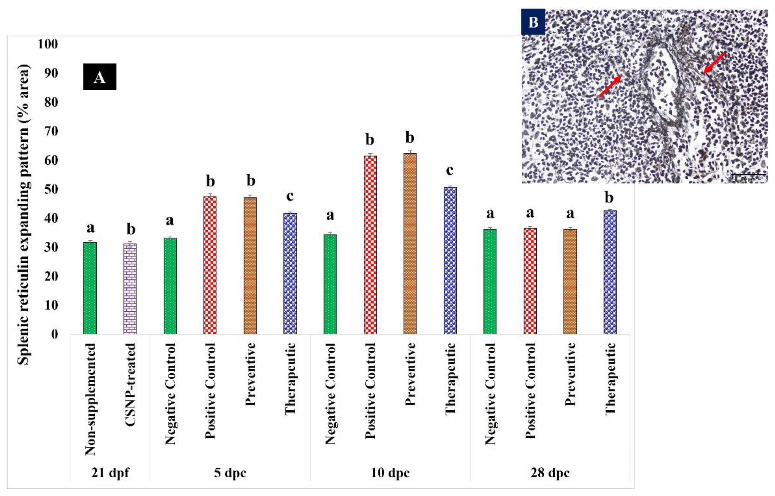 Marinedrugs 20 00425 g011 550
