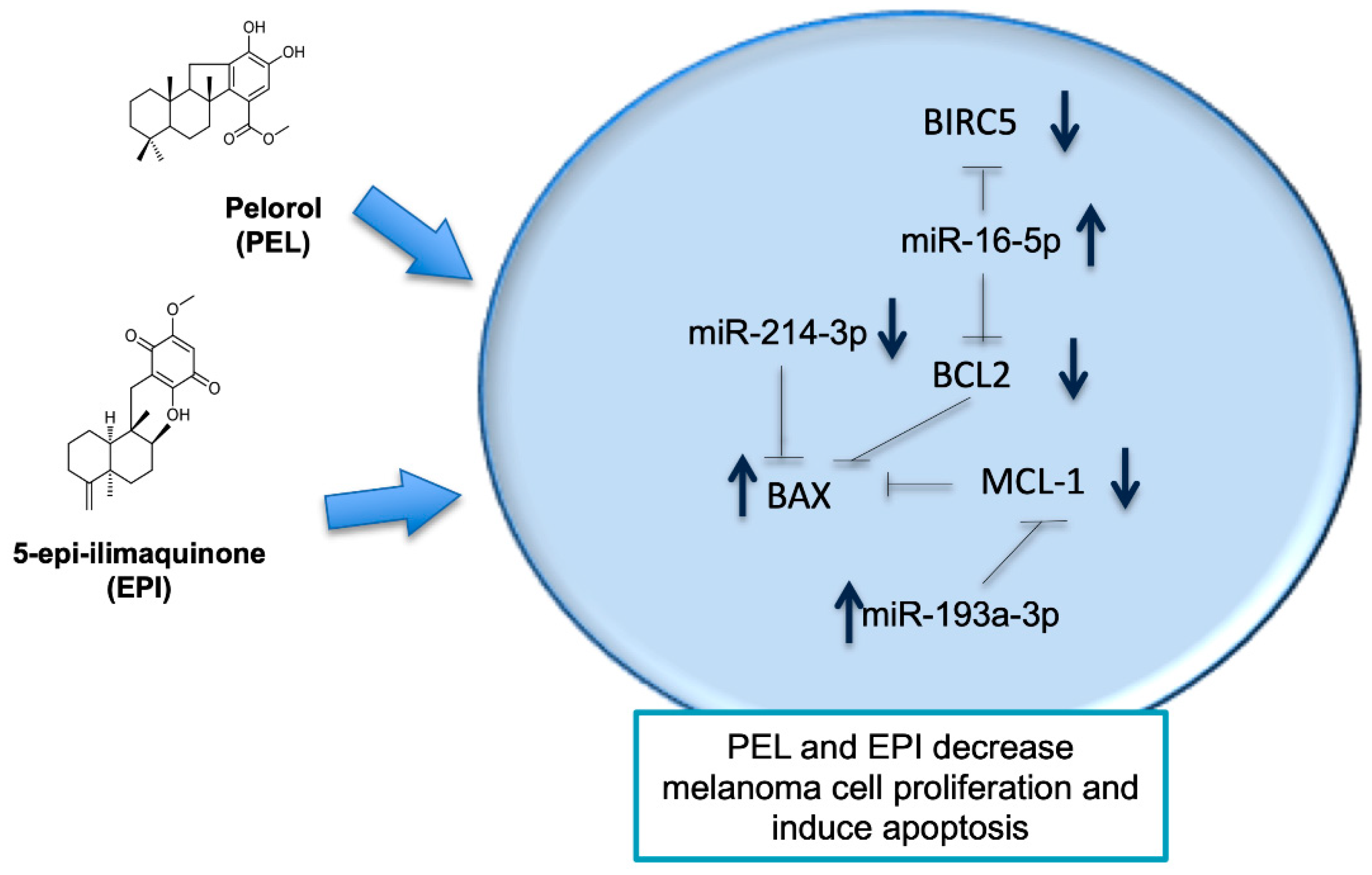 Marinedrugs 20 00427 g005