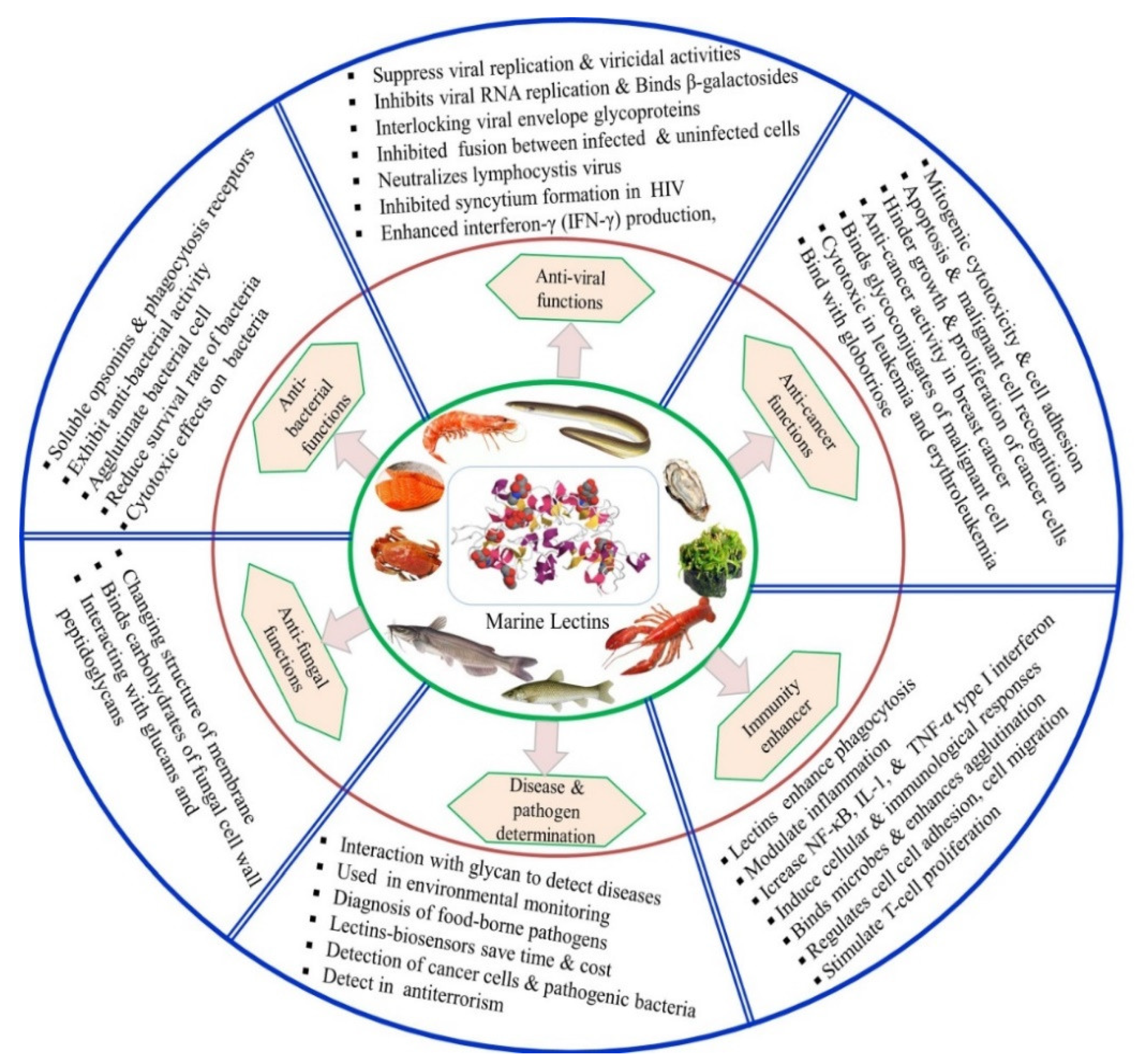 Marinedrugs 20 00430 g003