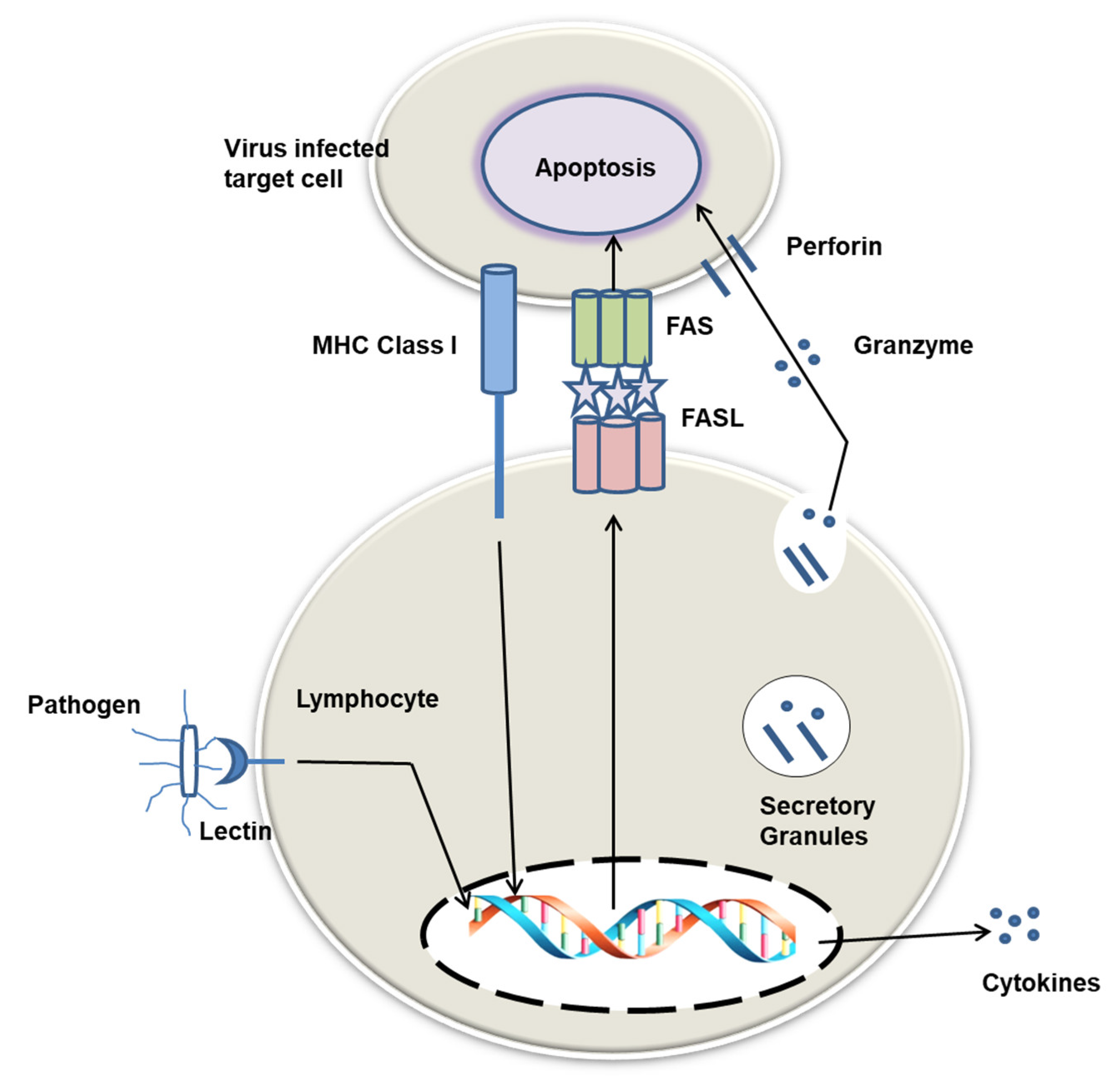 Marinedrugs 20 00430 g008