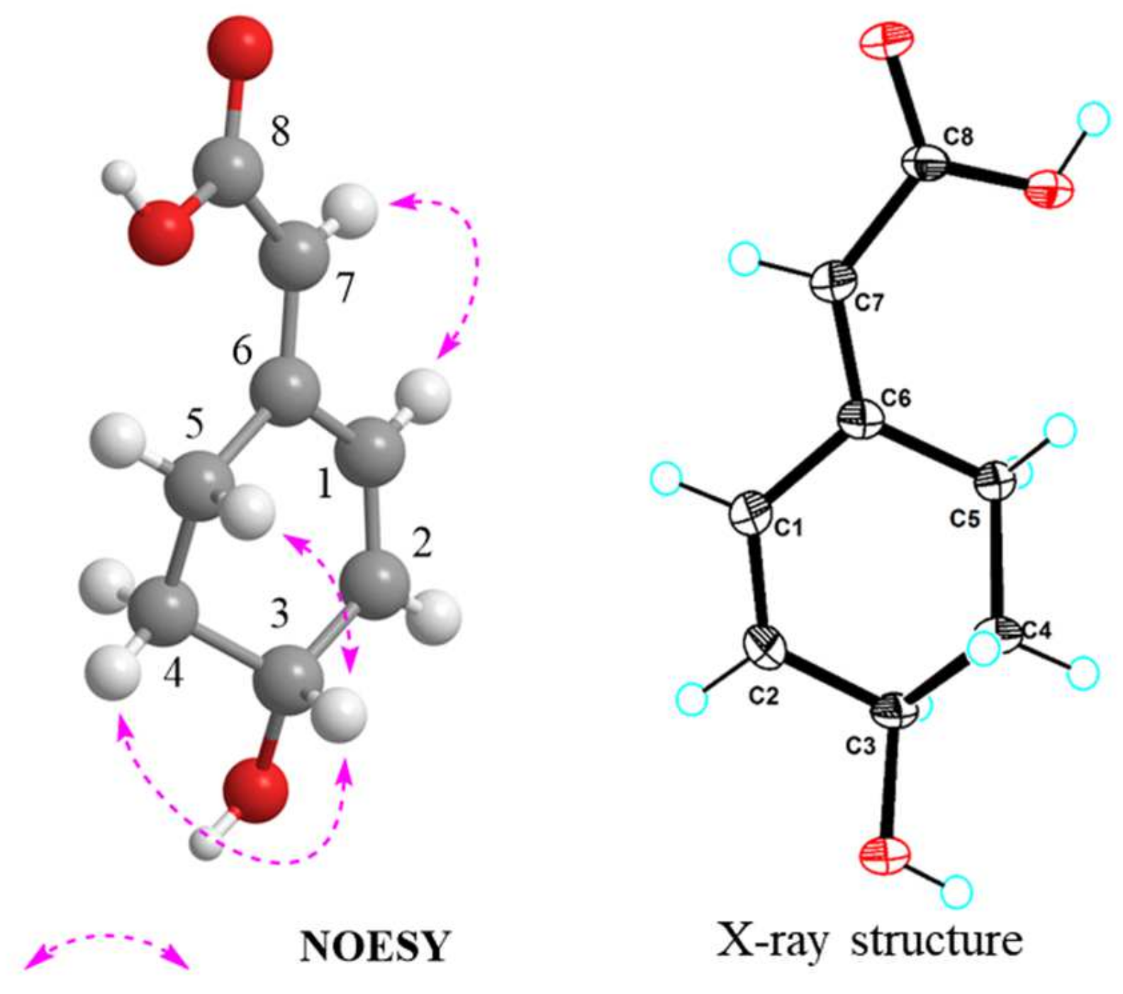 Marinedrugs 20 00431 g004 Marinedrugs 20 00431 g004