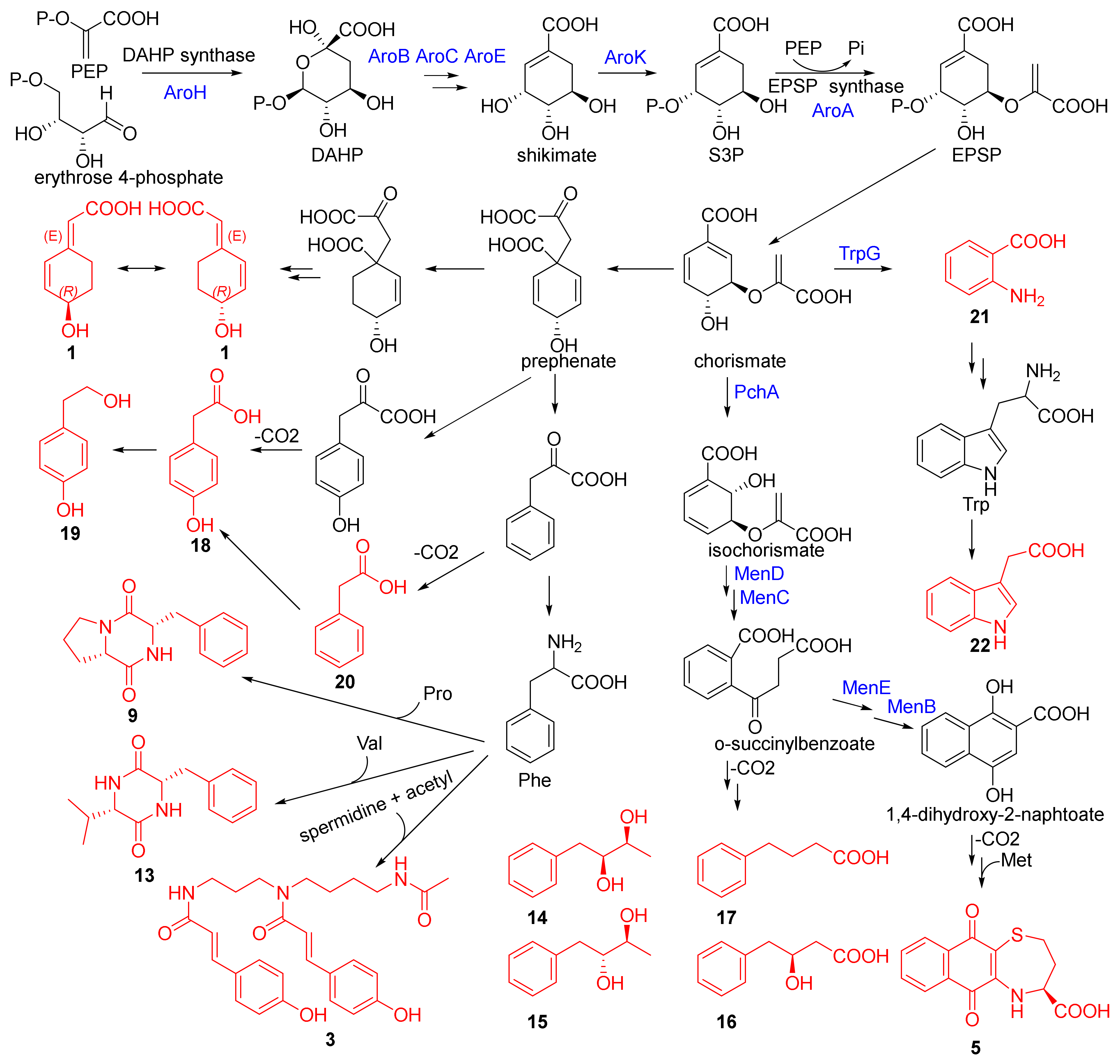 Marinedrugs 20 00431 sch001 Marinedrugs 20 00431 sch001