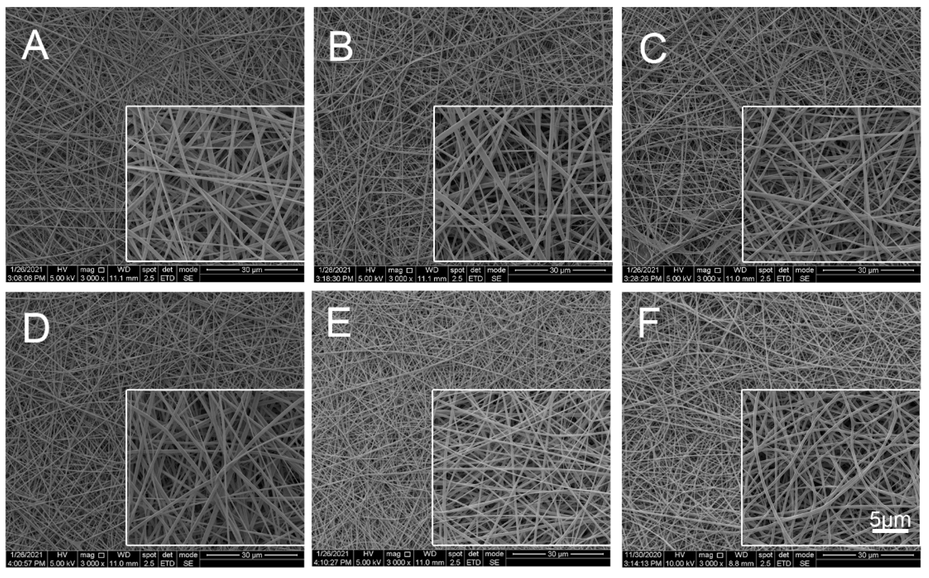 Marinedrugs 20 00437 g002 Marinedrugs 20 00437 g002
