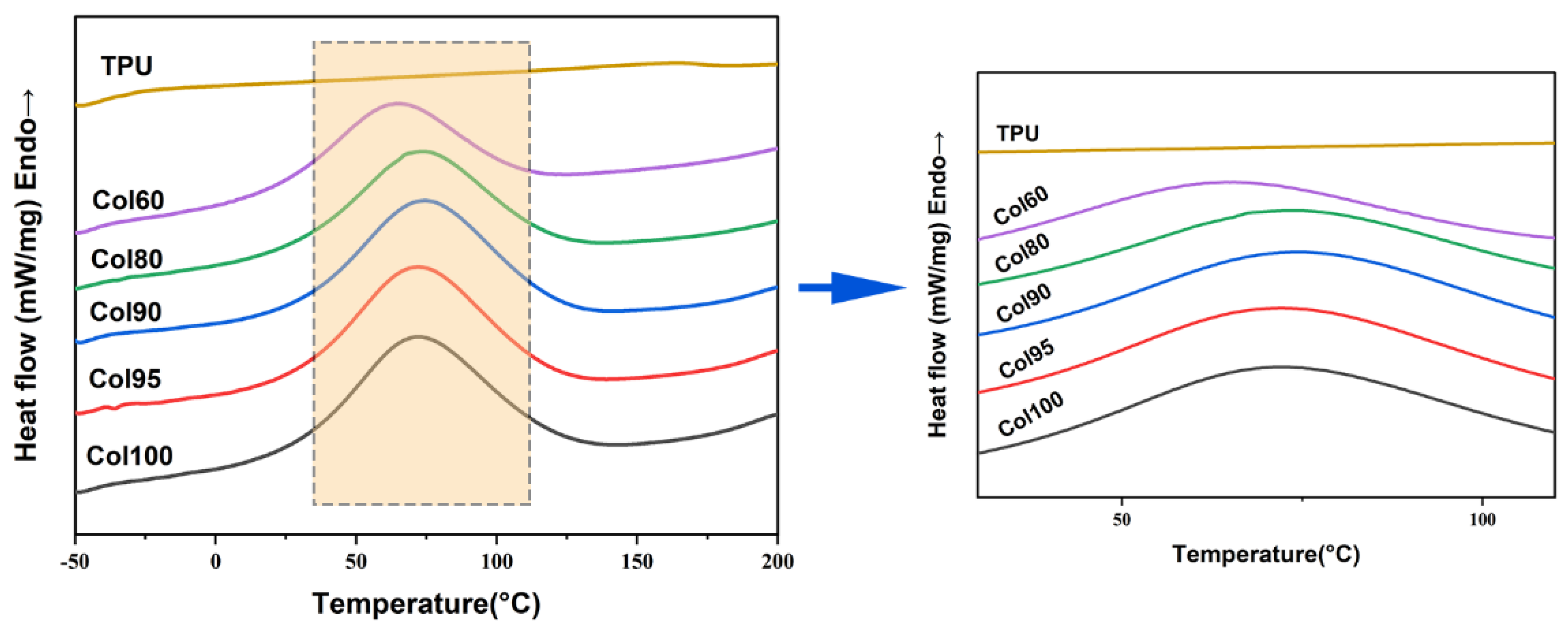Marinedrugs 20 00437 g004 Marinedrugs 20 00437 g004