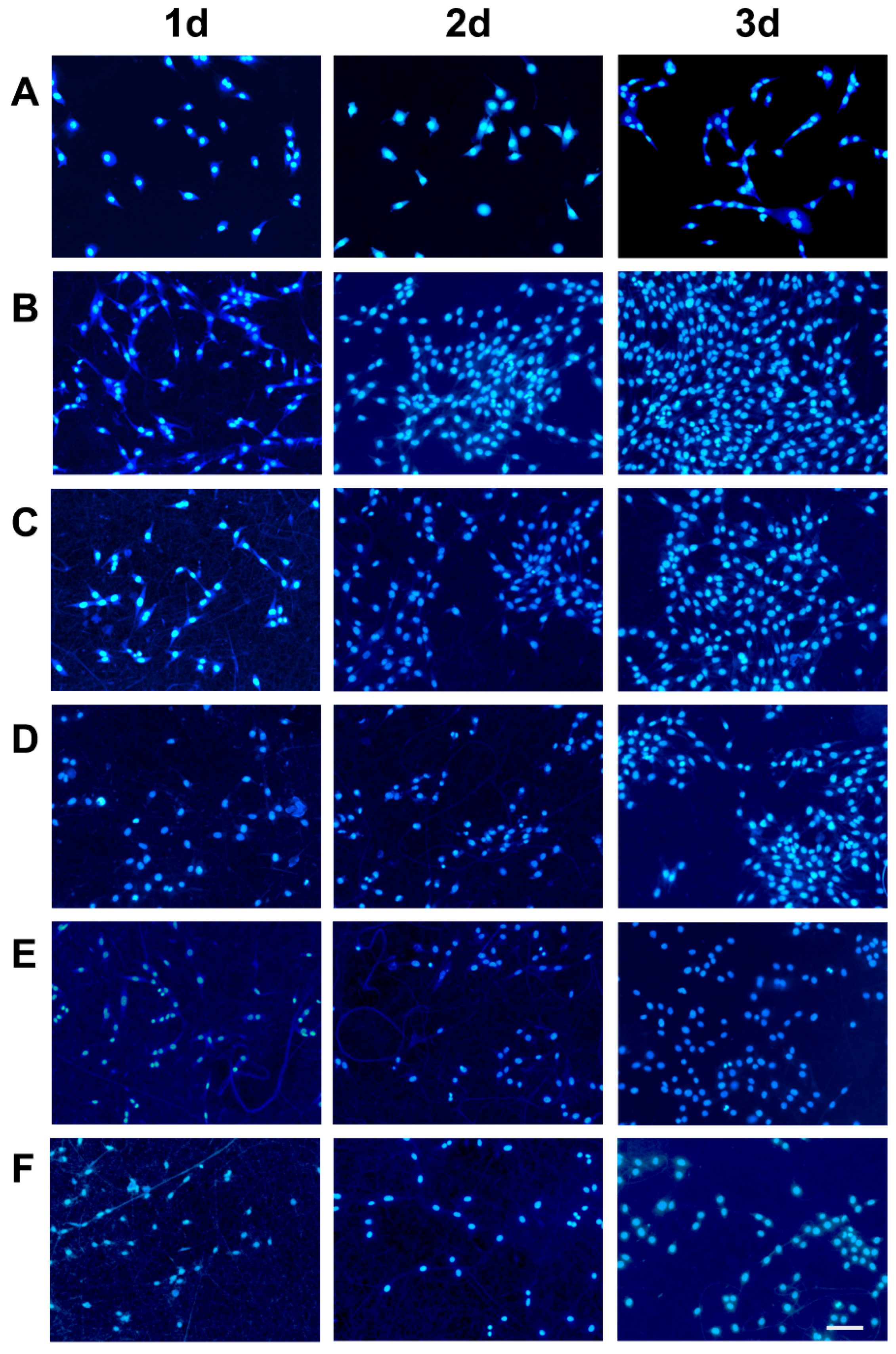 Marinedrugs 20 00437 g008 Marinedrugs 20 00437 g008