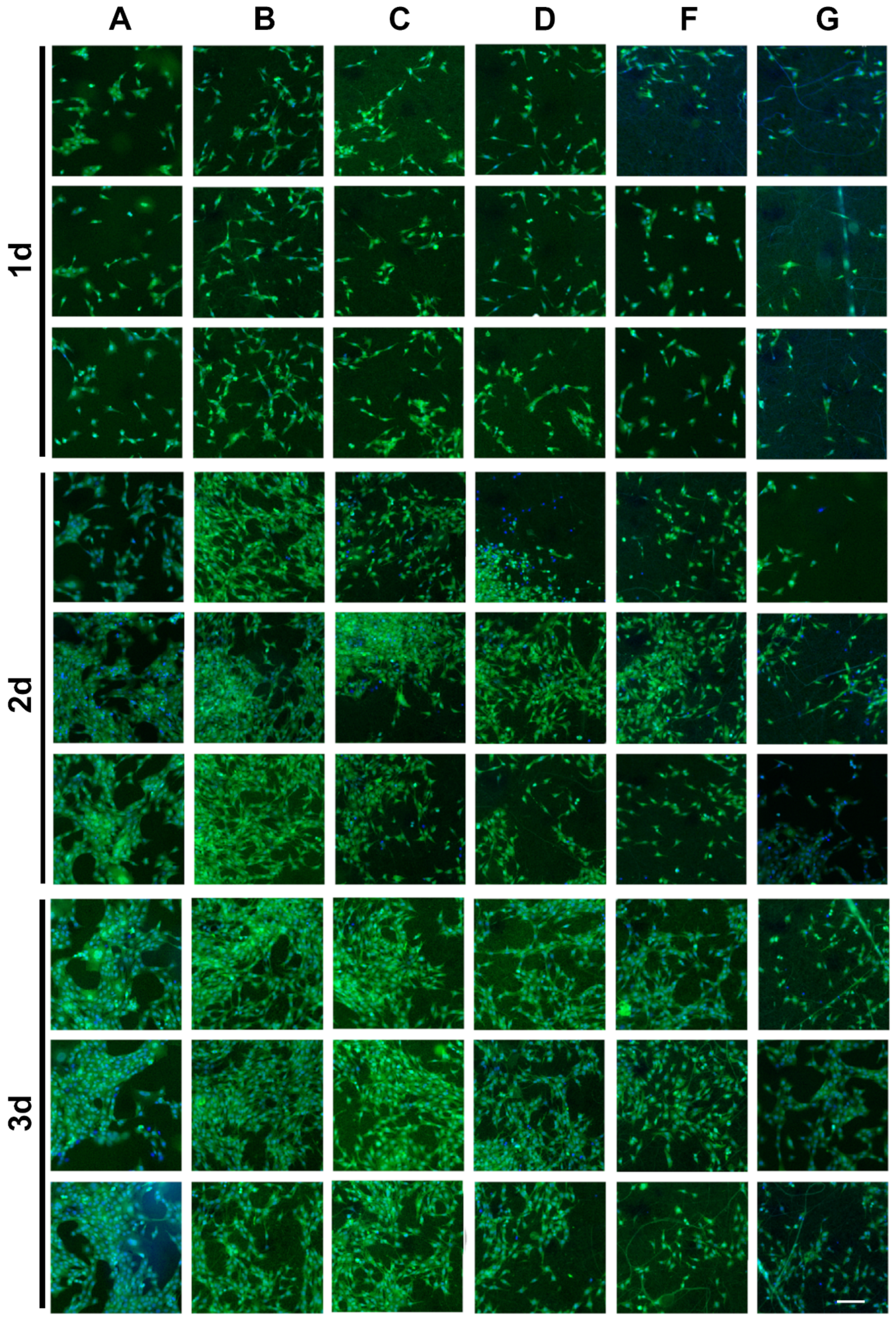 Marinedrugs 20 00437 g009 Marinedrugs 20 00437 g009