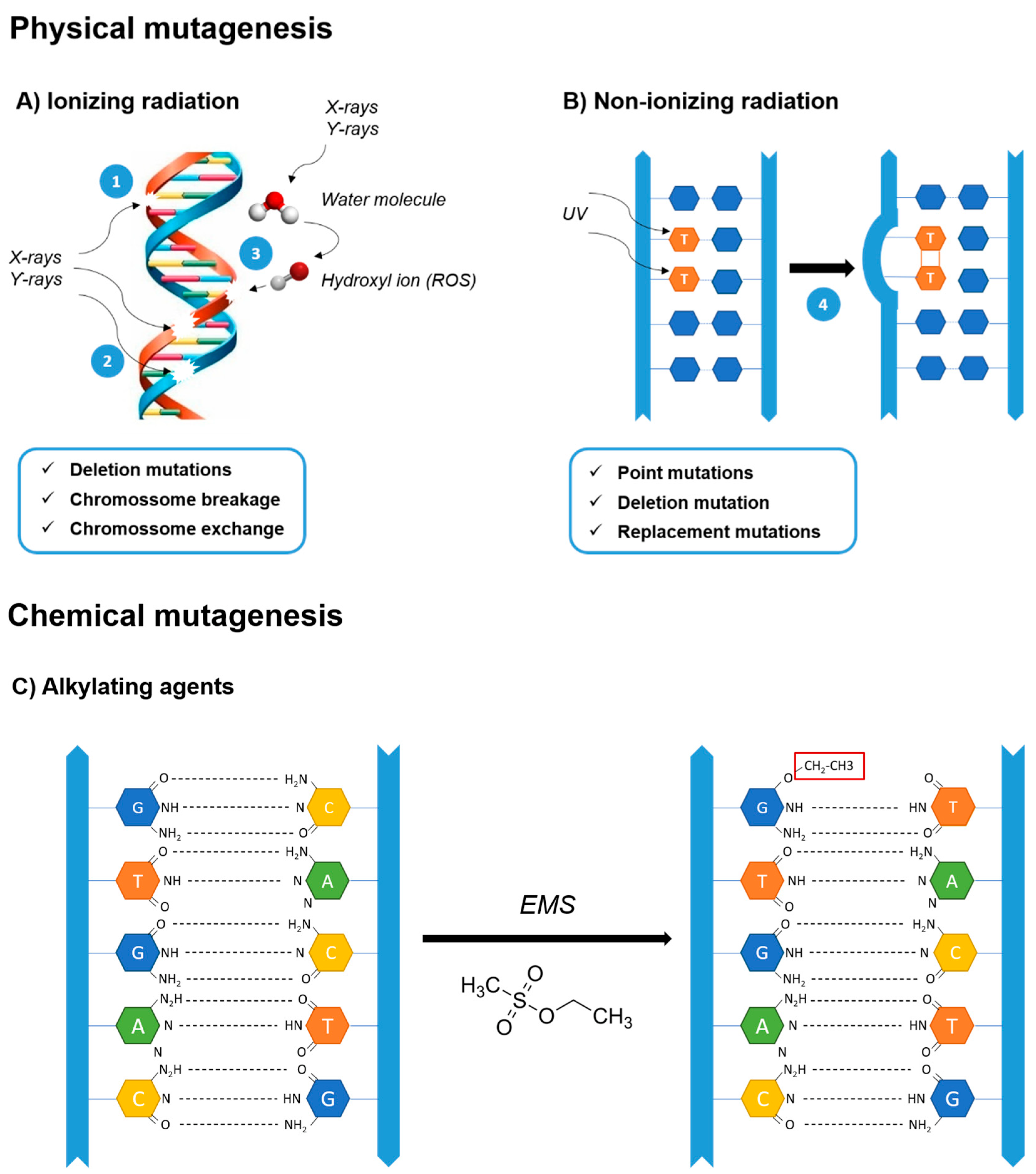 Marinedrugs 20 00440 g002