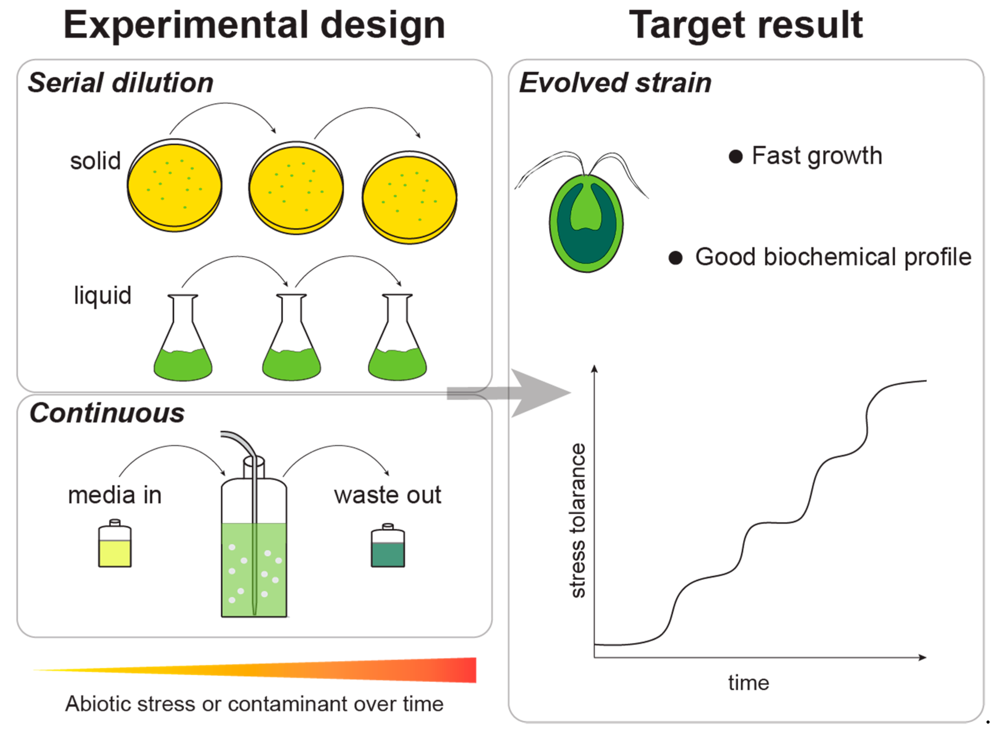 Marinedrugs 20 00440 g005