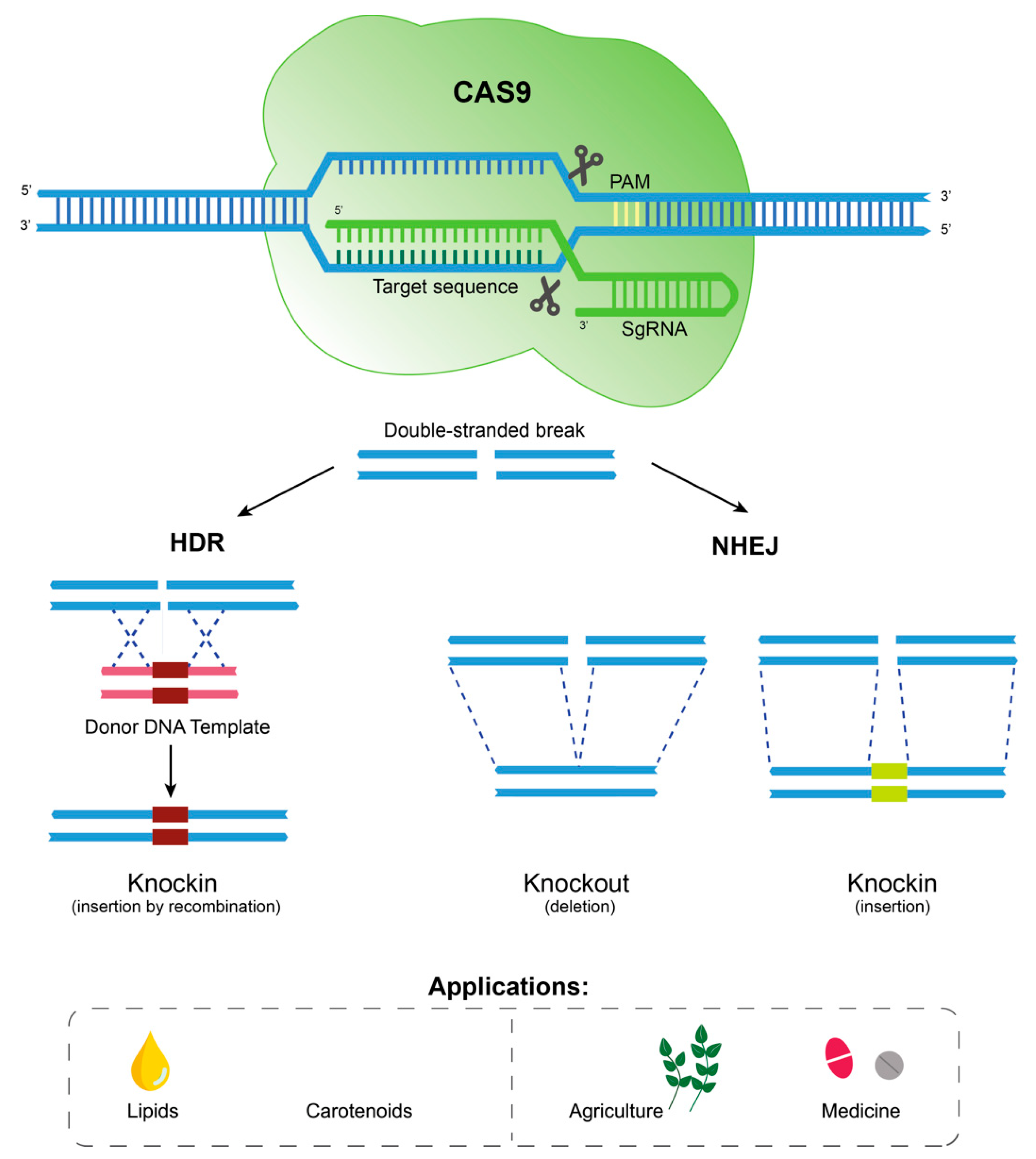 Marinedrugs 20 00440 g006