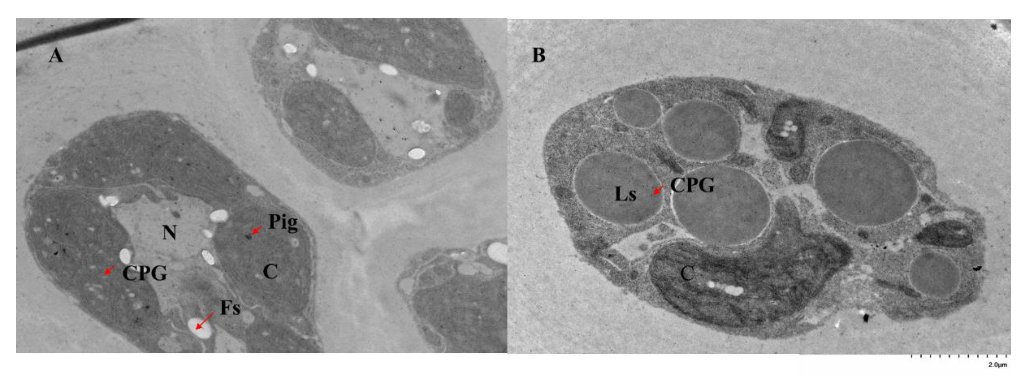 Marinedrugs 20 00442 g002