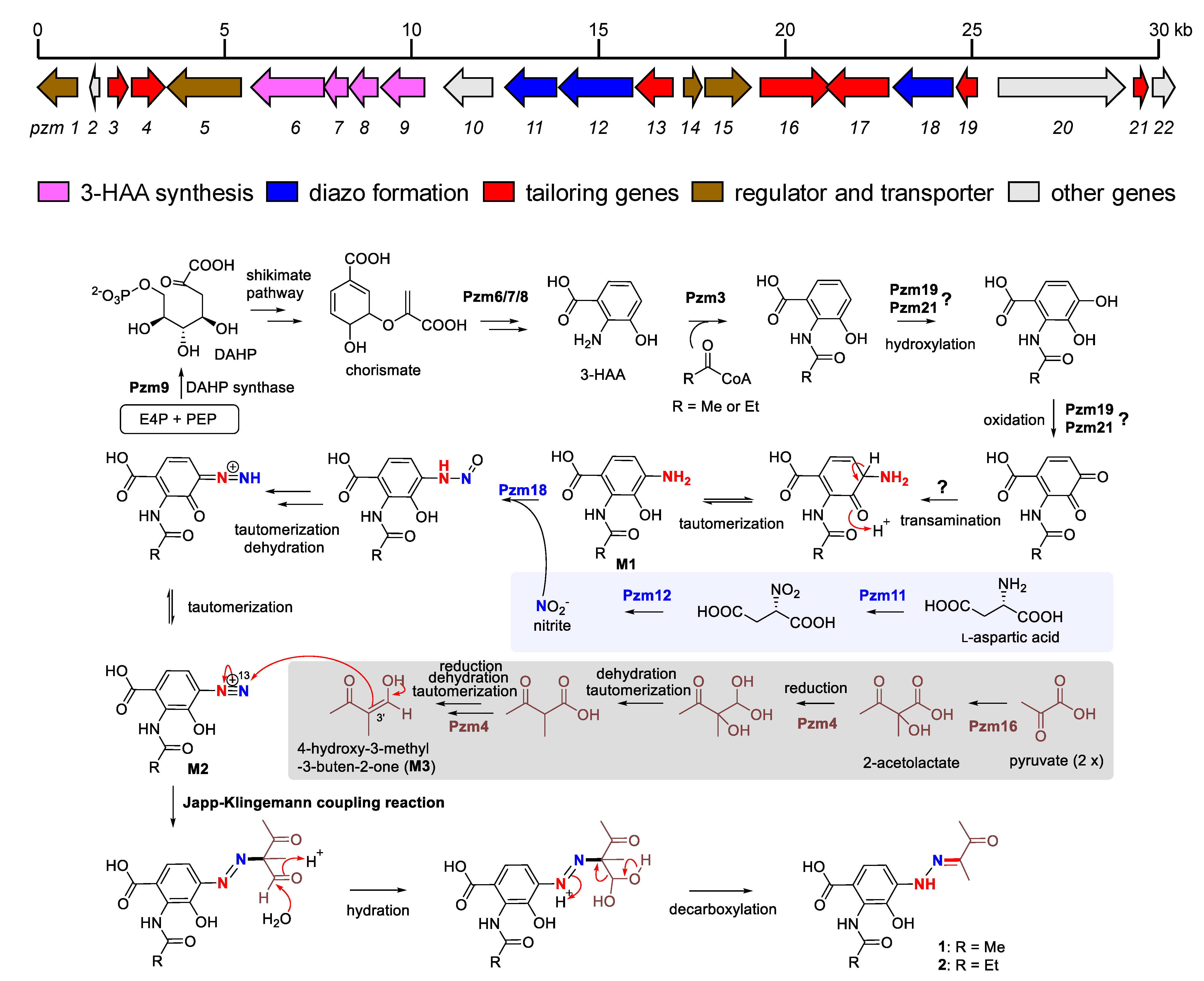 Marinedrugs 20 00449 sch001 550