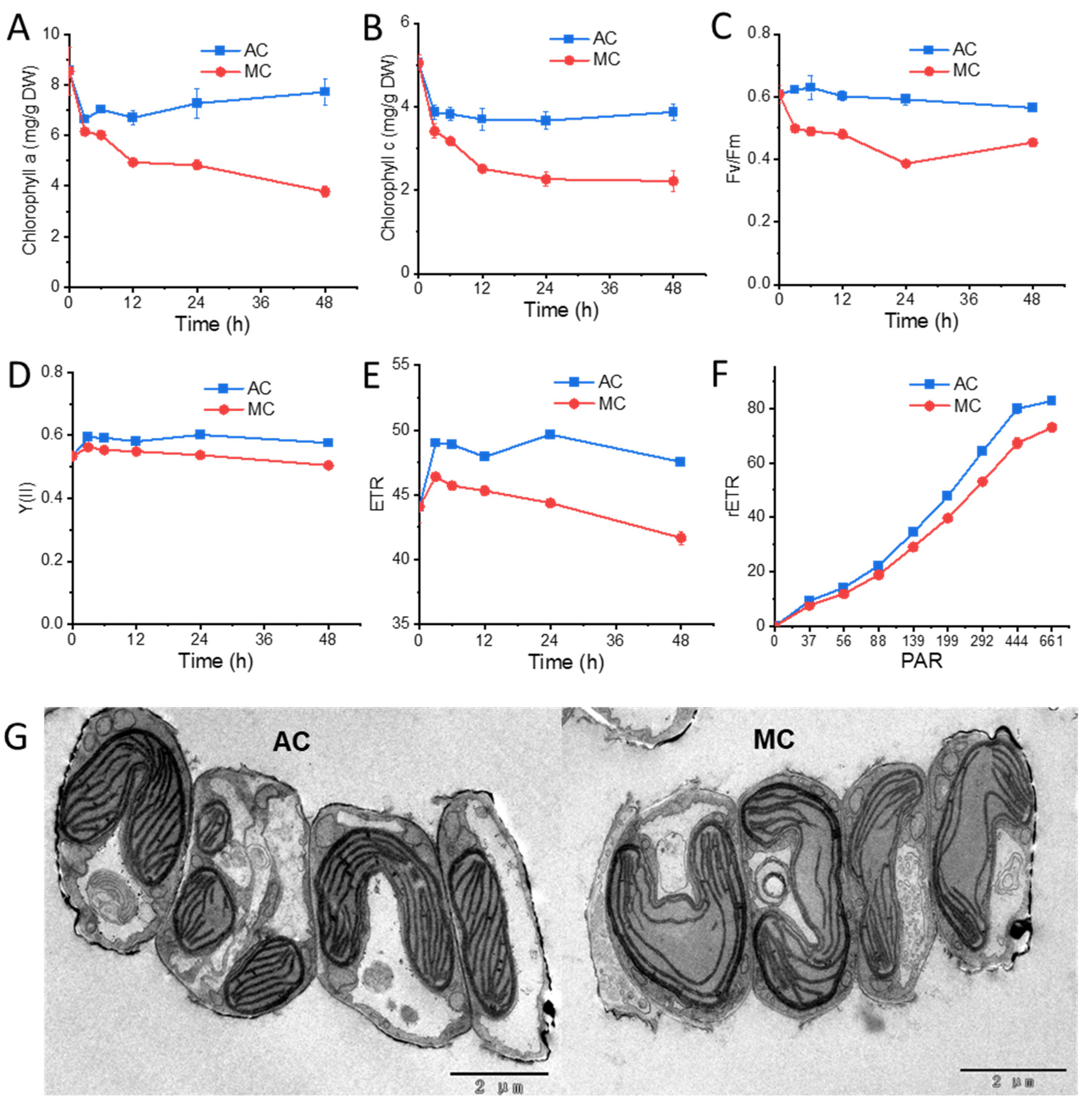 Marinedrugs 20 00456 g002 Marinedrugs 20 00456 g002