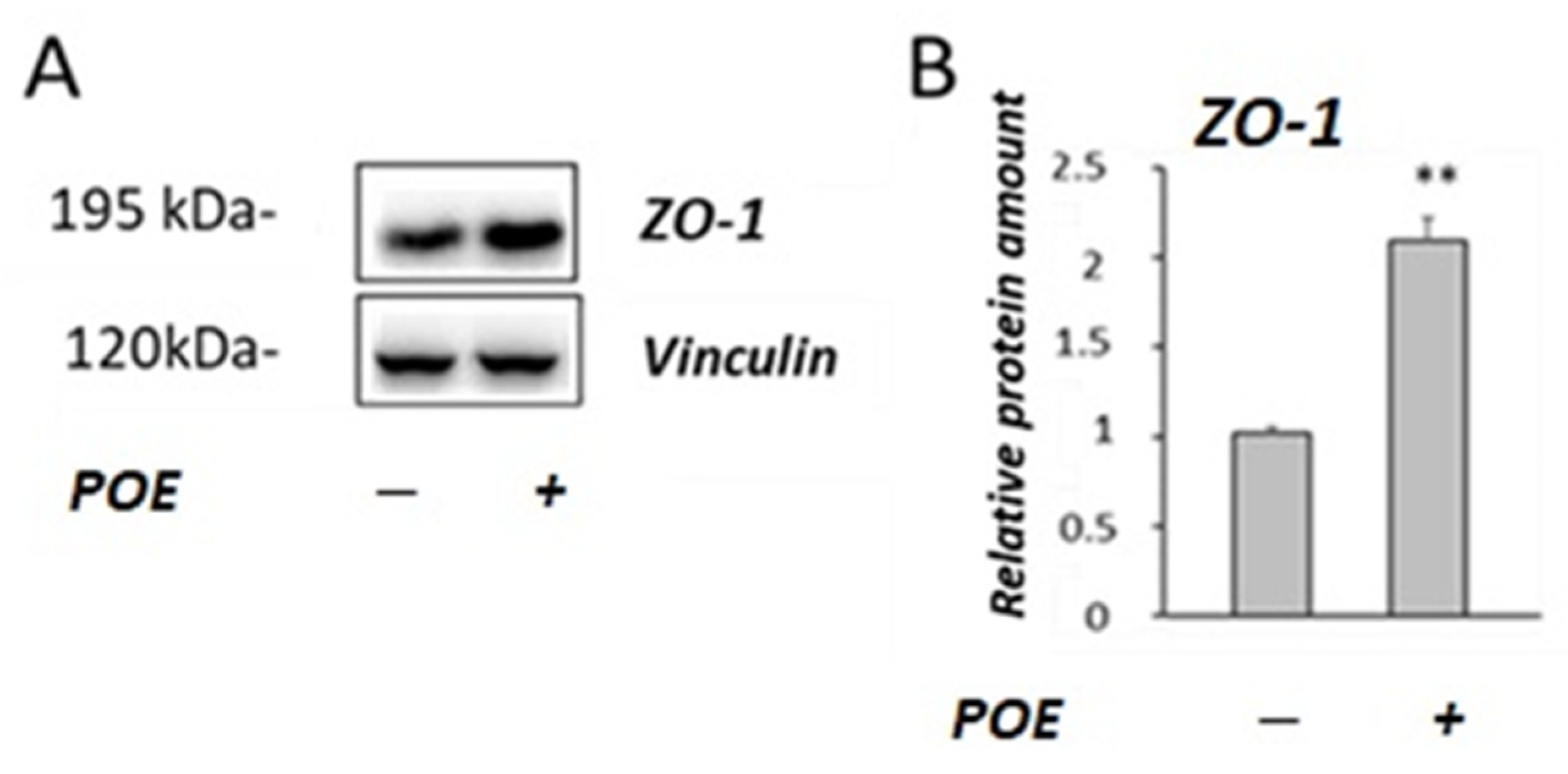 Marinedrugs 20 00457 g005
