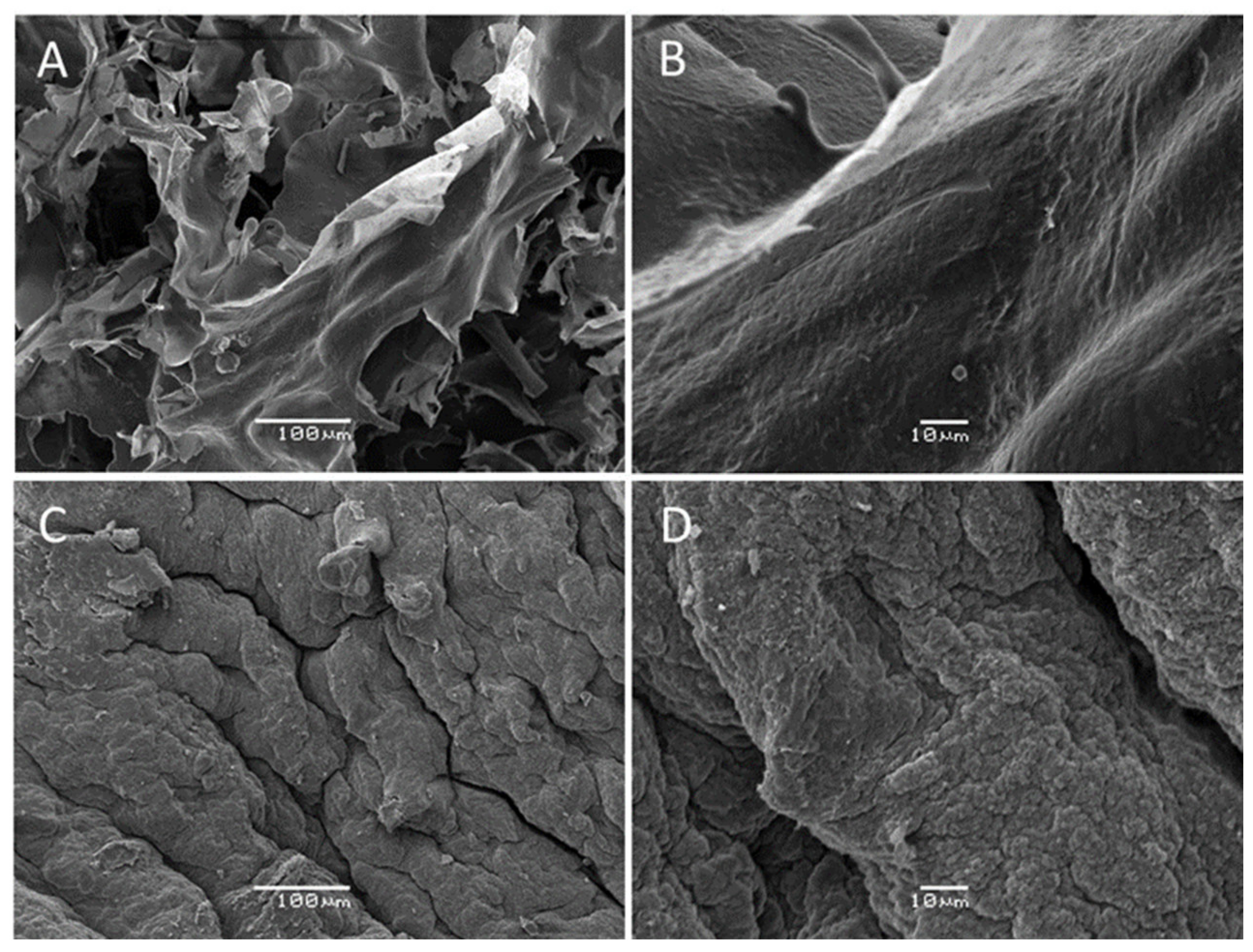 Marinedrugs 20 00458 g004