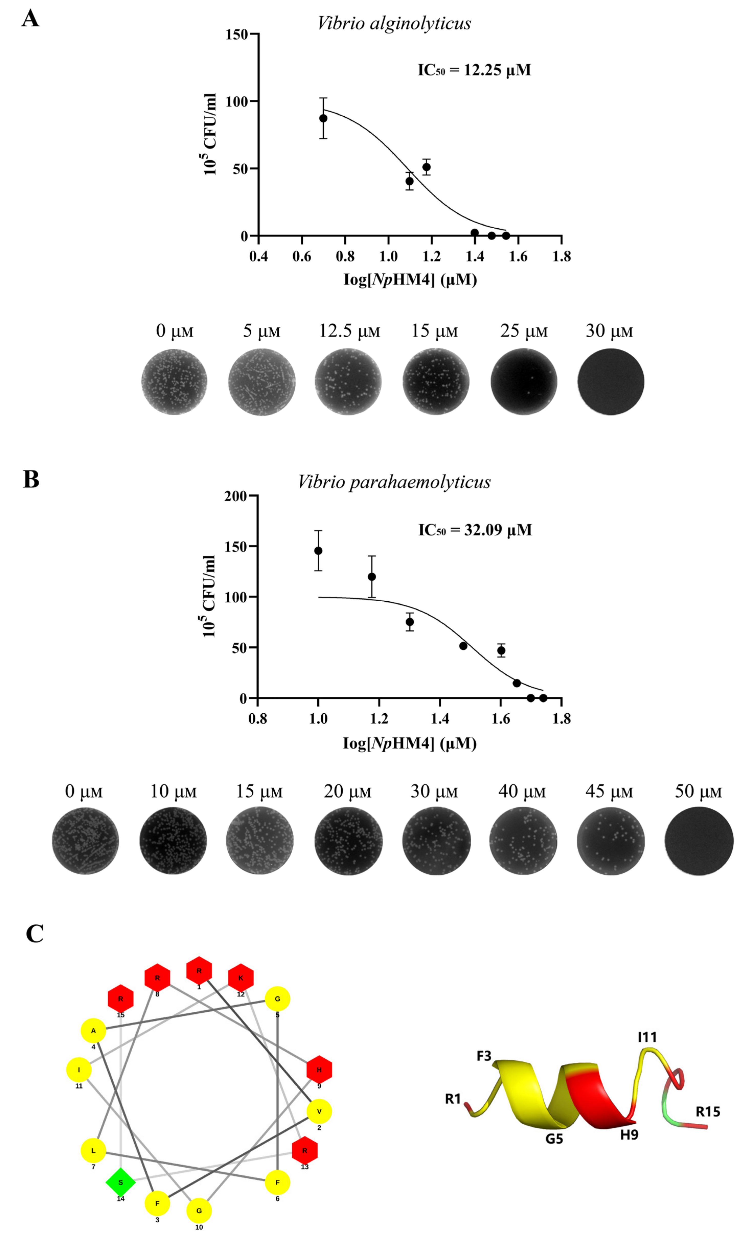 Marinedrugs 20 00459 g002 Marinedrugs 20 00459 g002