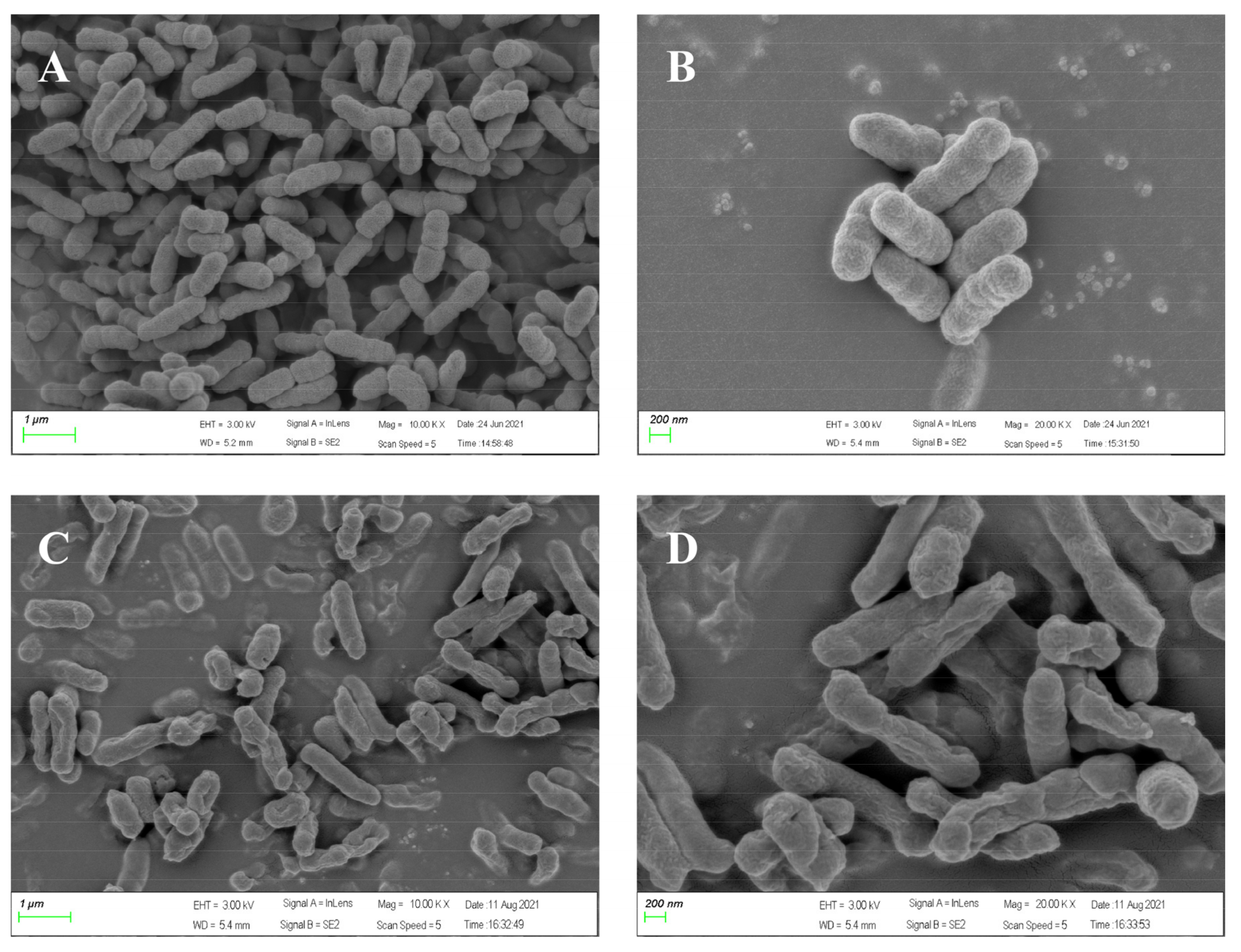 Marinedrugs 20 00459 g005 Marinedrugs 20 00459 g005