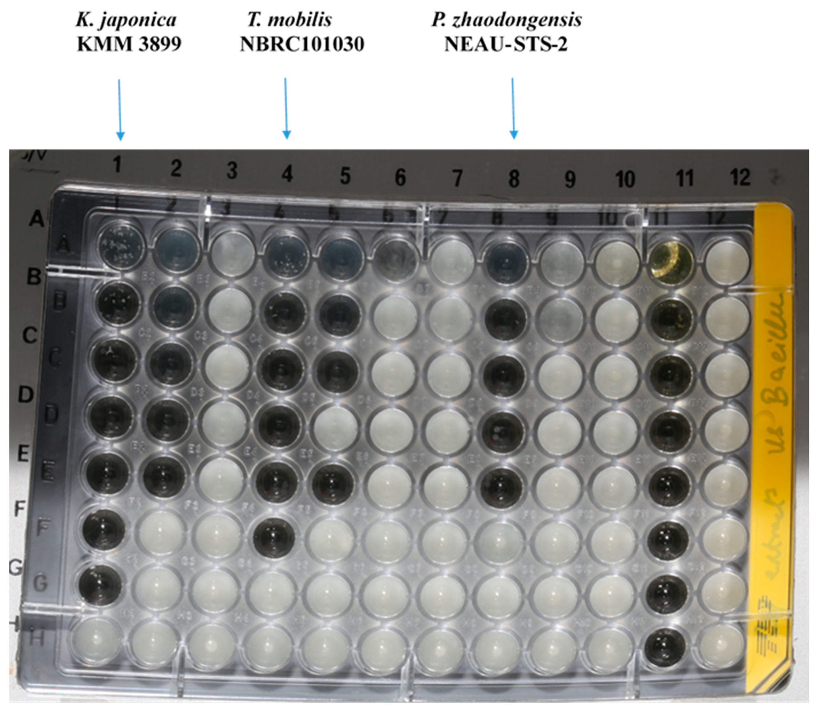 Marinedrugs 20 00463 g002 550