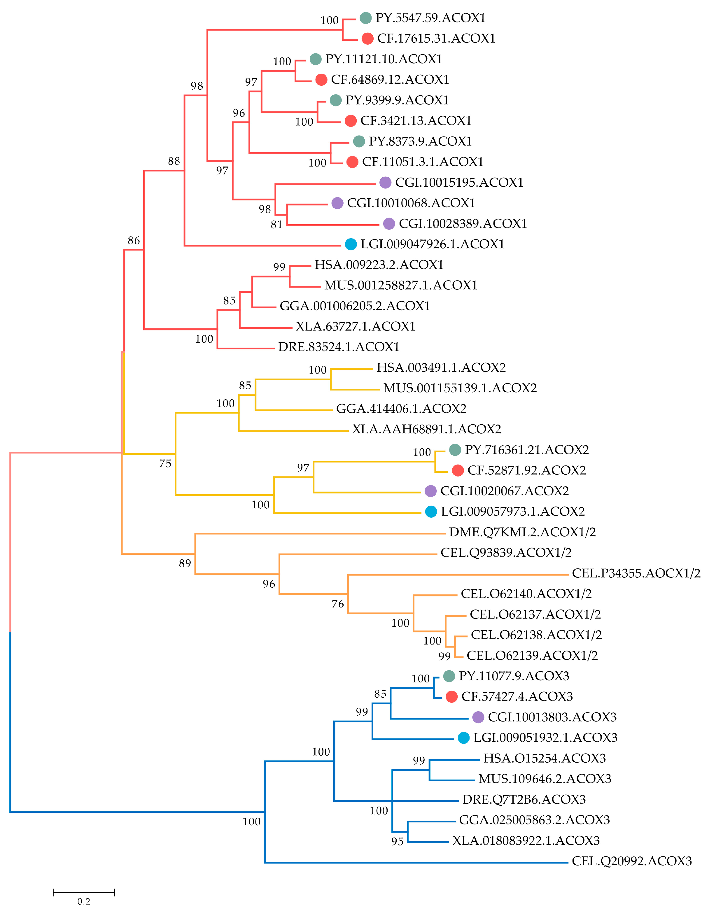 Marinedrugs 20 00472 g002