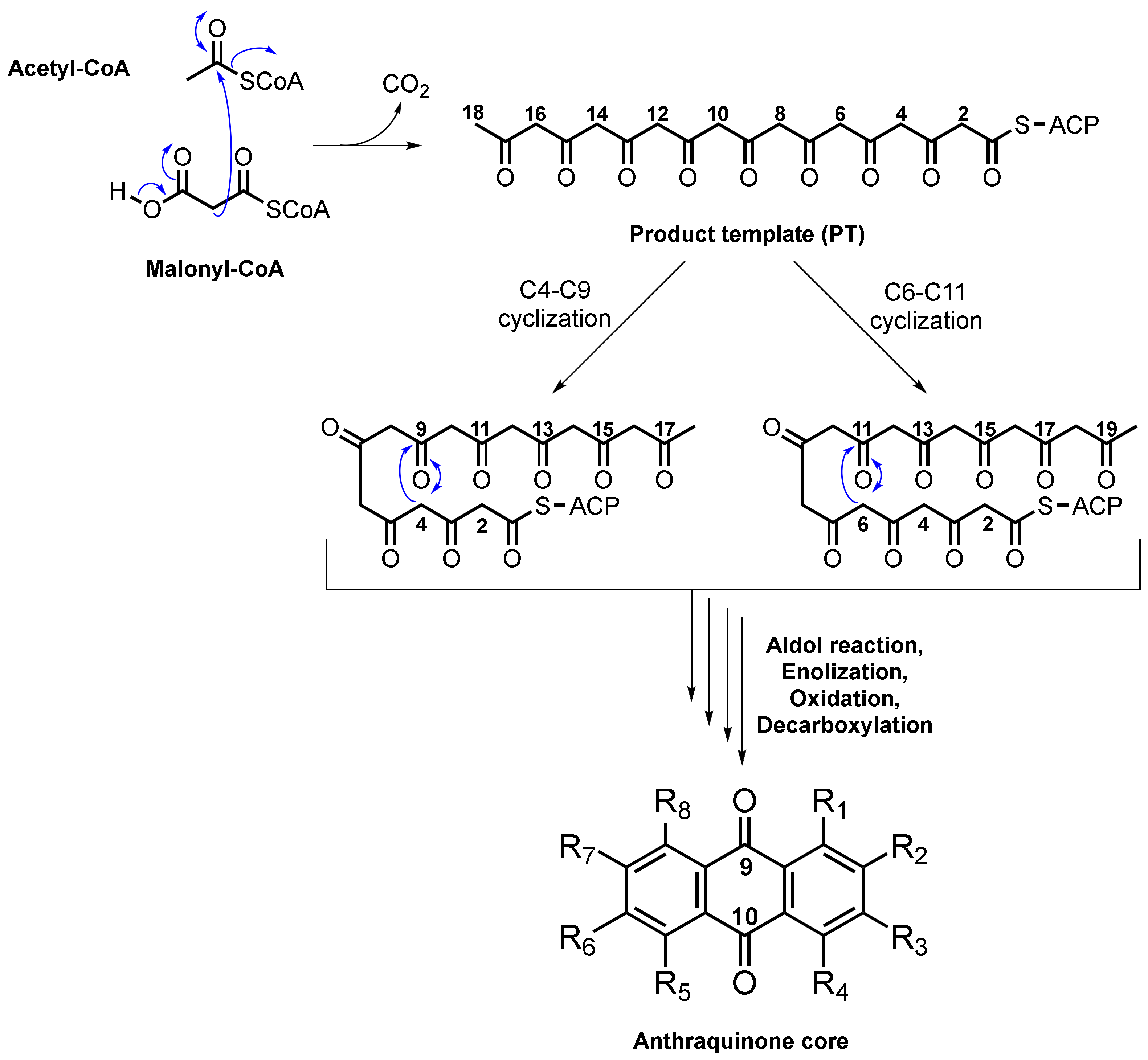 Marinedrugs 20 00474 g001
