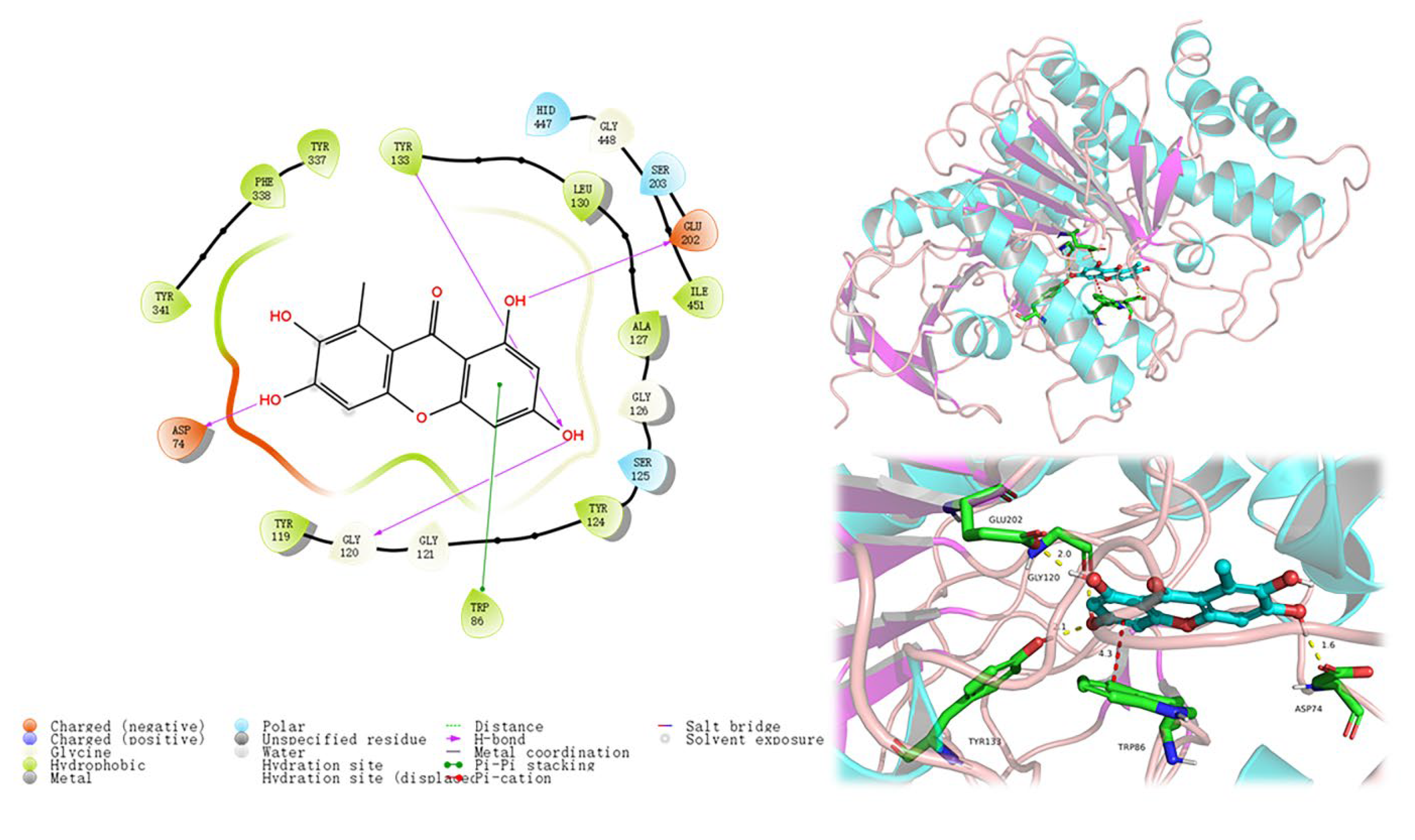 Marinedrugs 20 00475 g004
