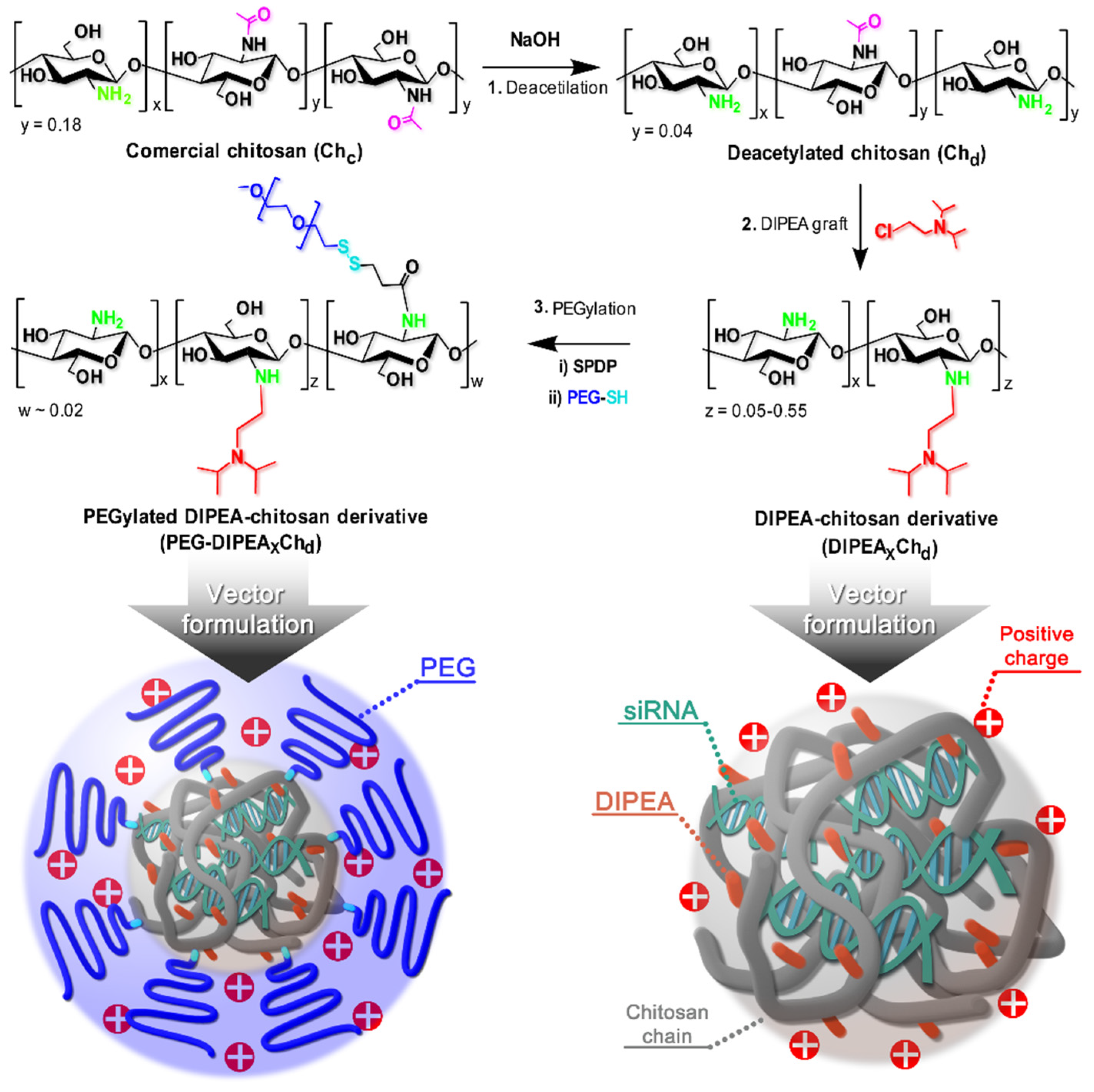 Marinedrugs 20 00476 g001