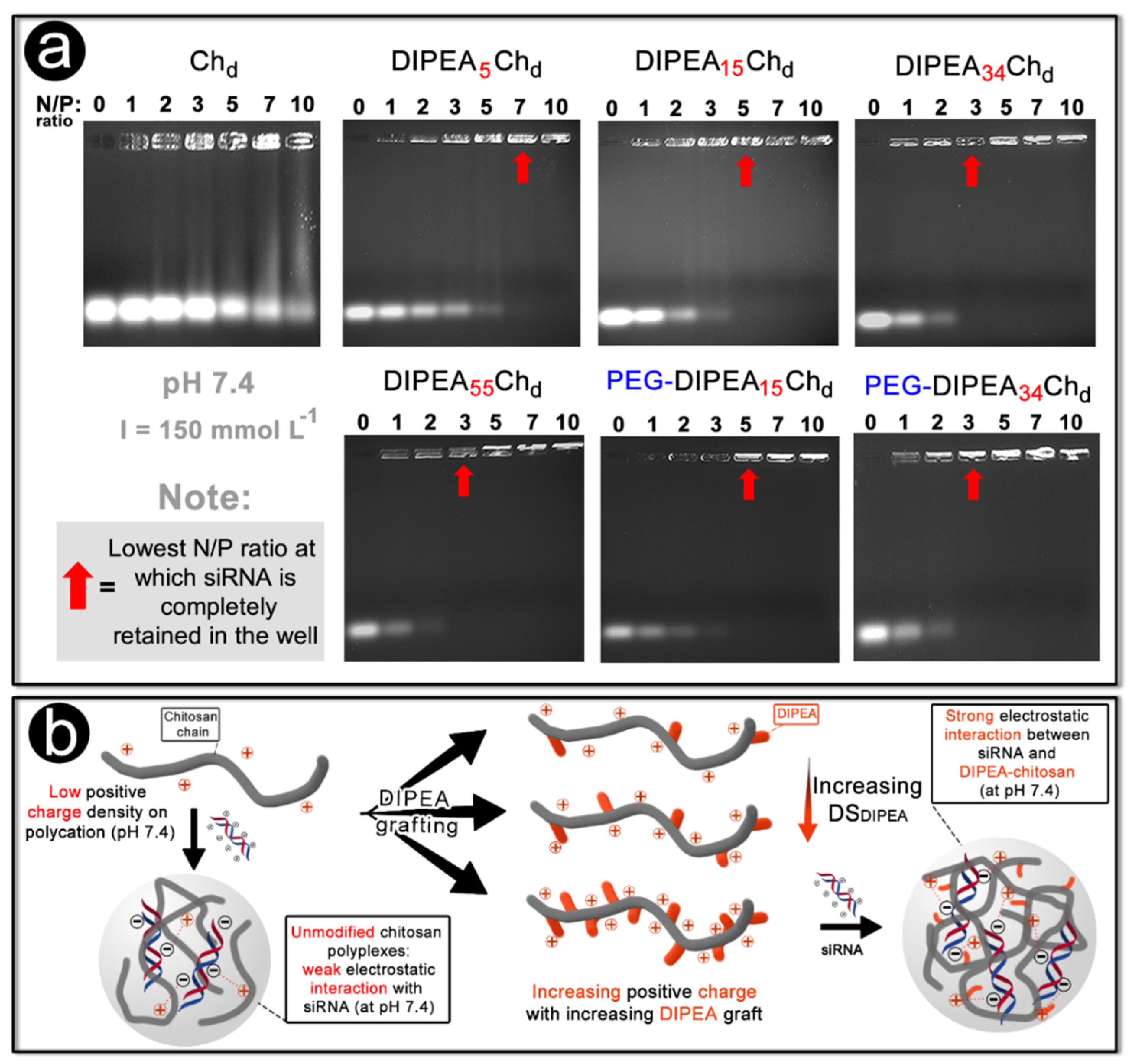 Marinedrugs 20 00476 g004