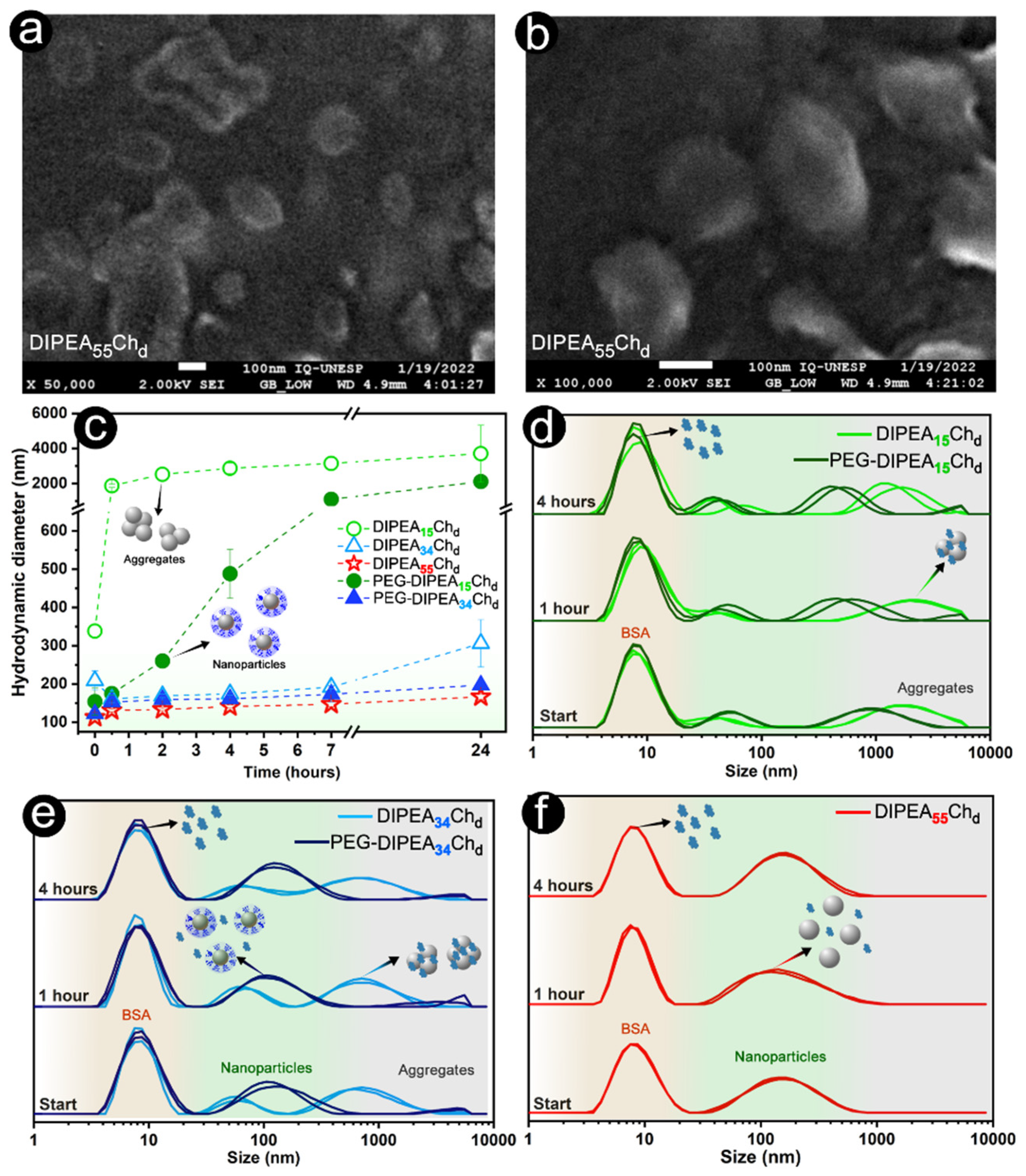 Marinedrugs 20 00476 g006