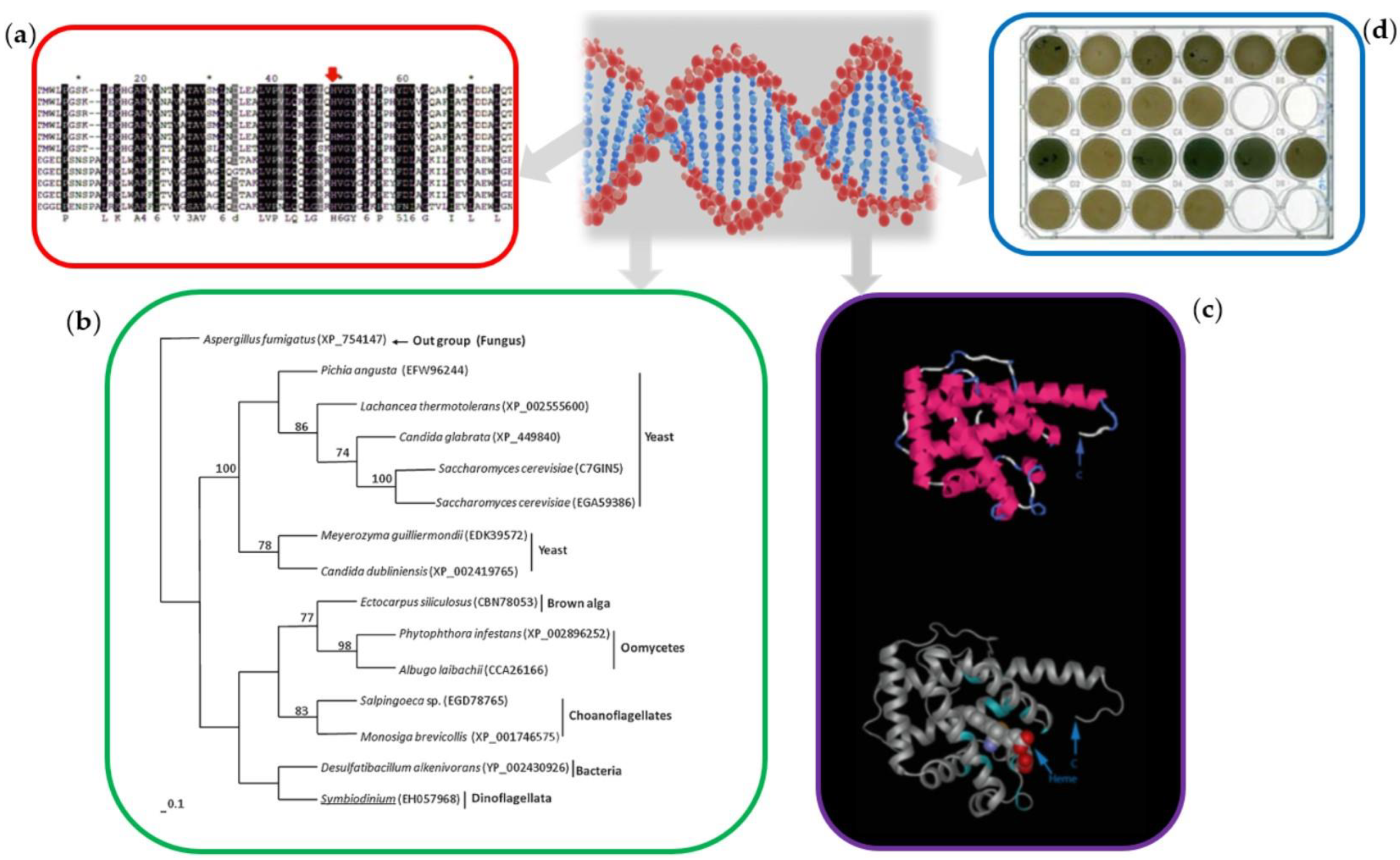 Marinedrugs 20 00478 g003 550