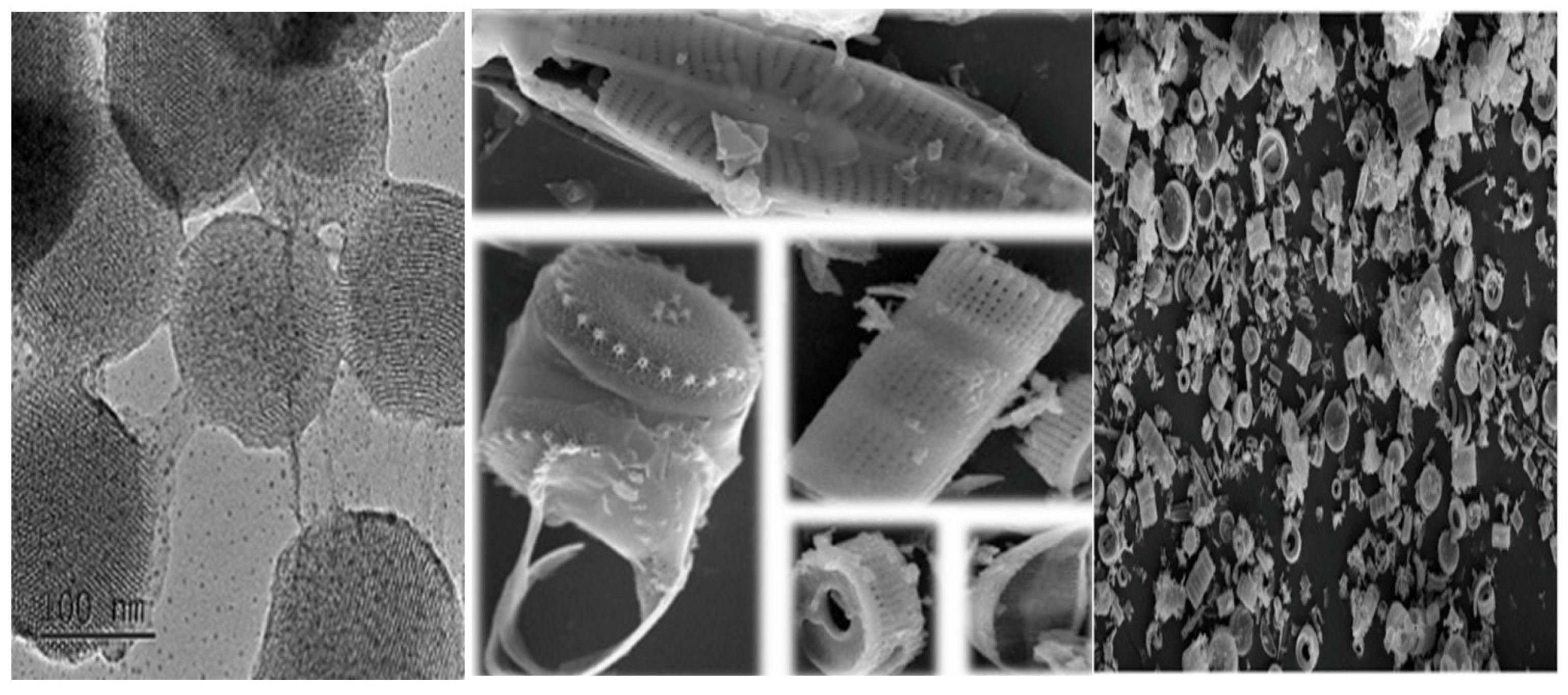 Marinedrugs 20 00480 g002