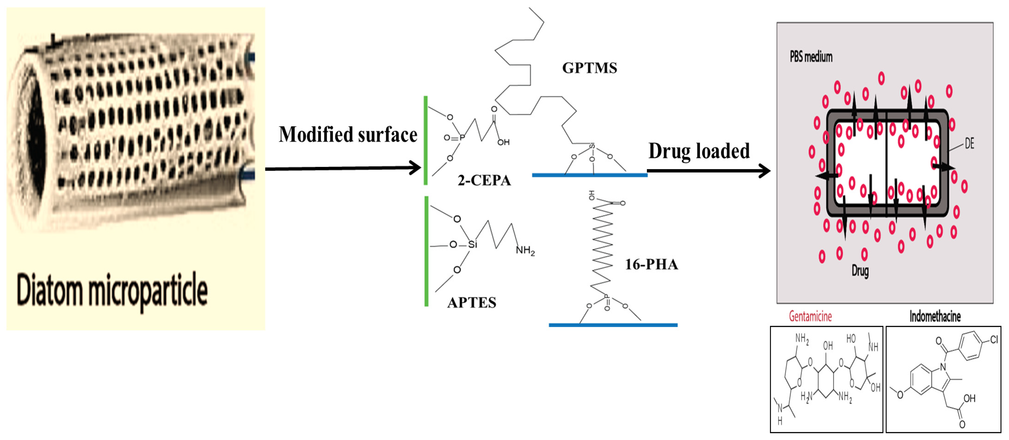 Marinedrugs 20 00480 g004