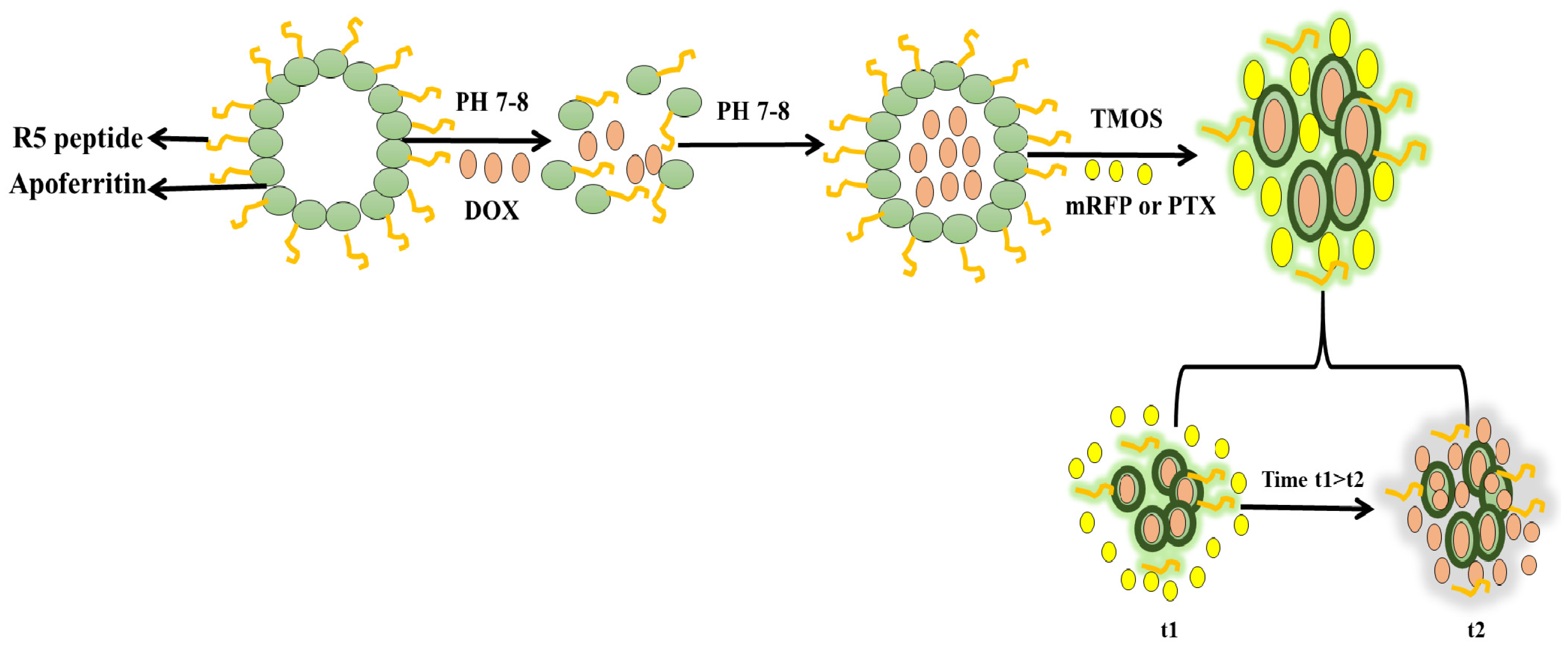 Marinedrugs 20 00480 g006