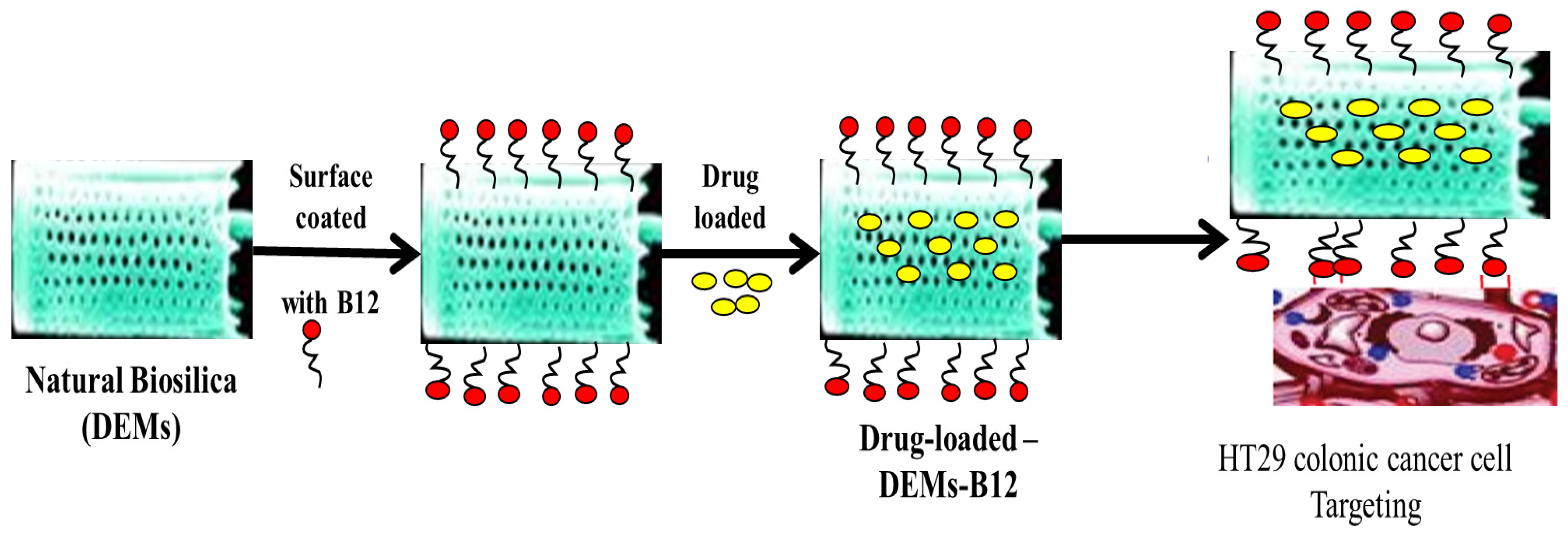Marinedrugs 20 00480 g007