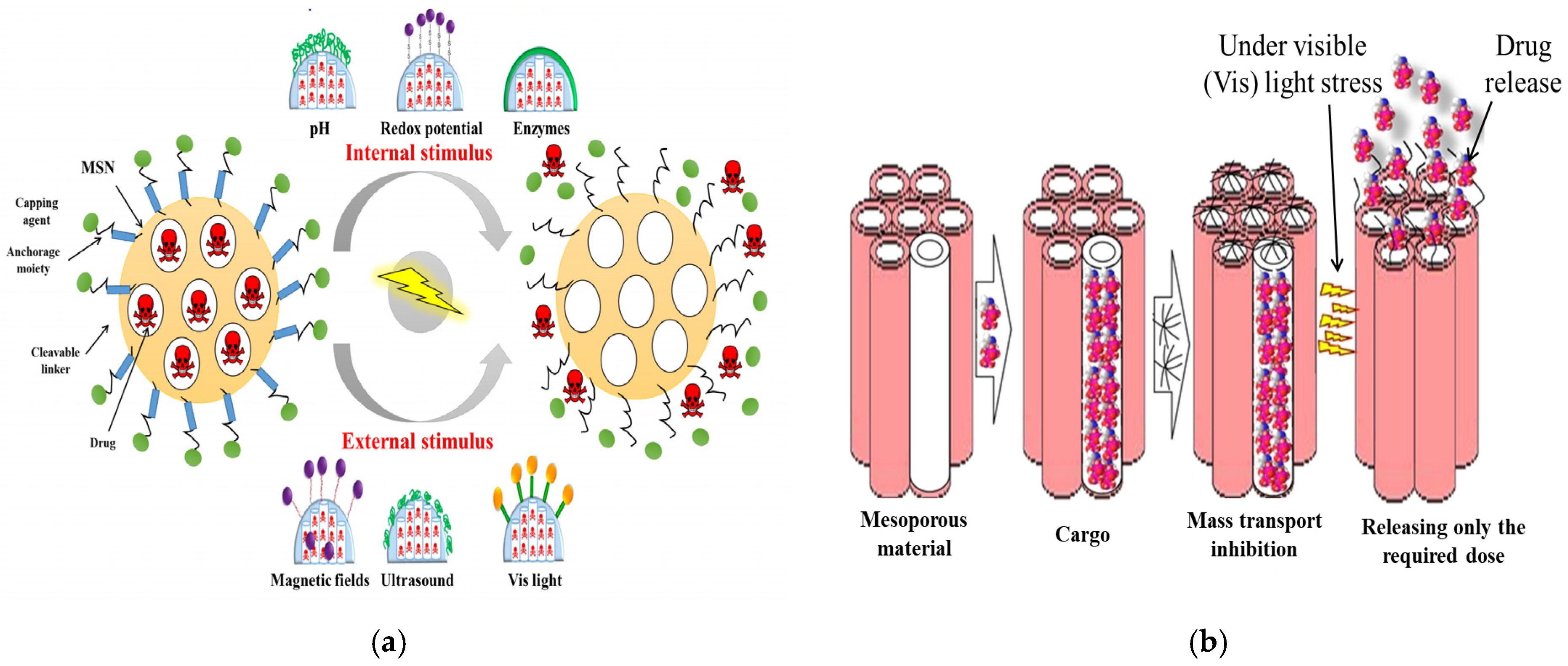 Marinedrugs 20 00480 g008