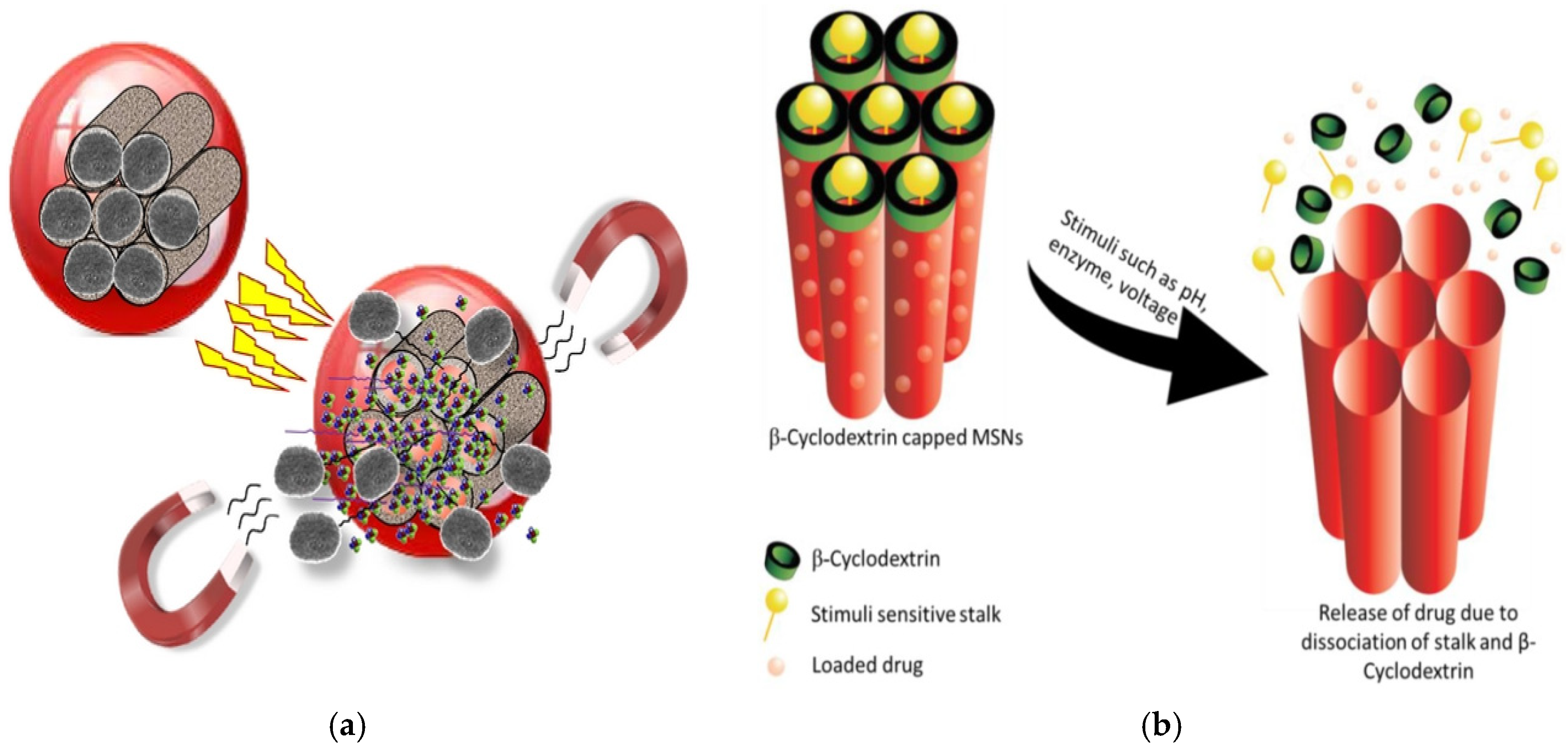 Marinedrugs 20 00480 g009
