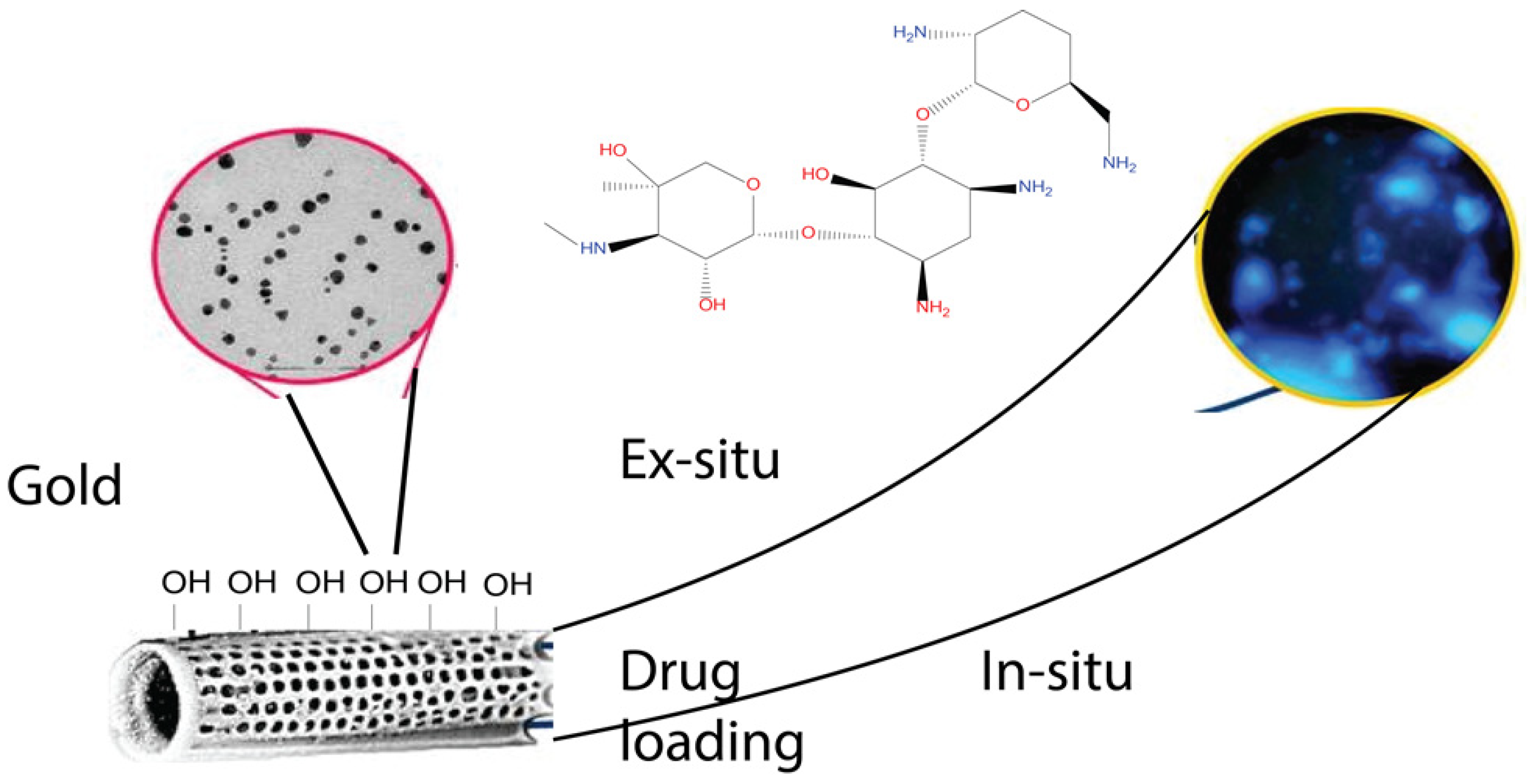 Marinedrugs 20 00480 g011