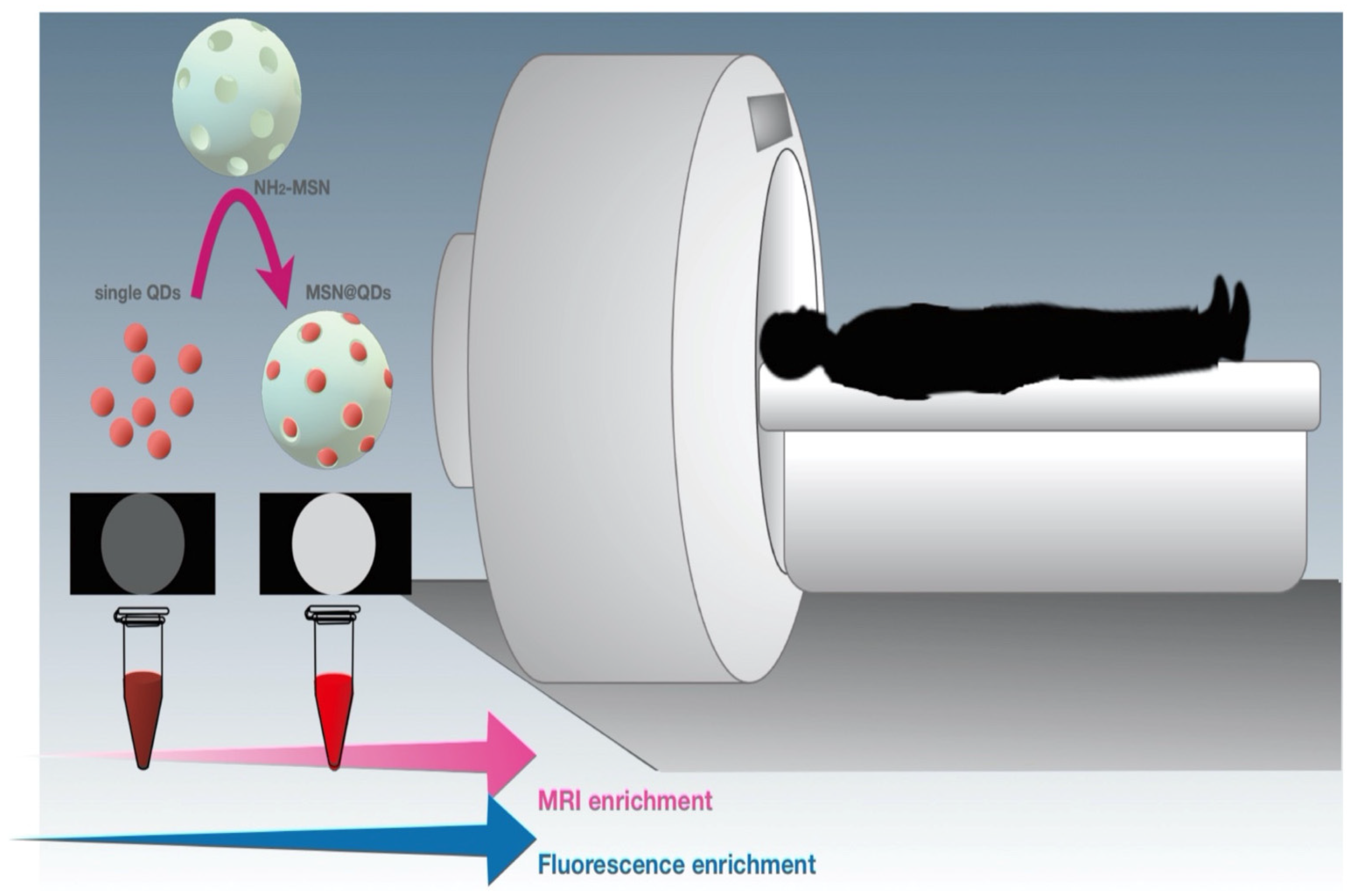 Marinedrugs 20 00480 g012