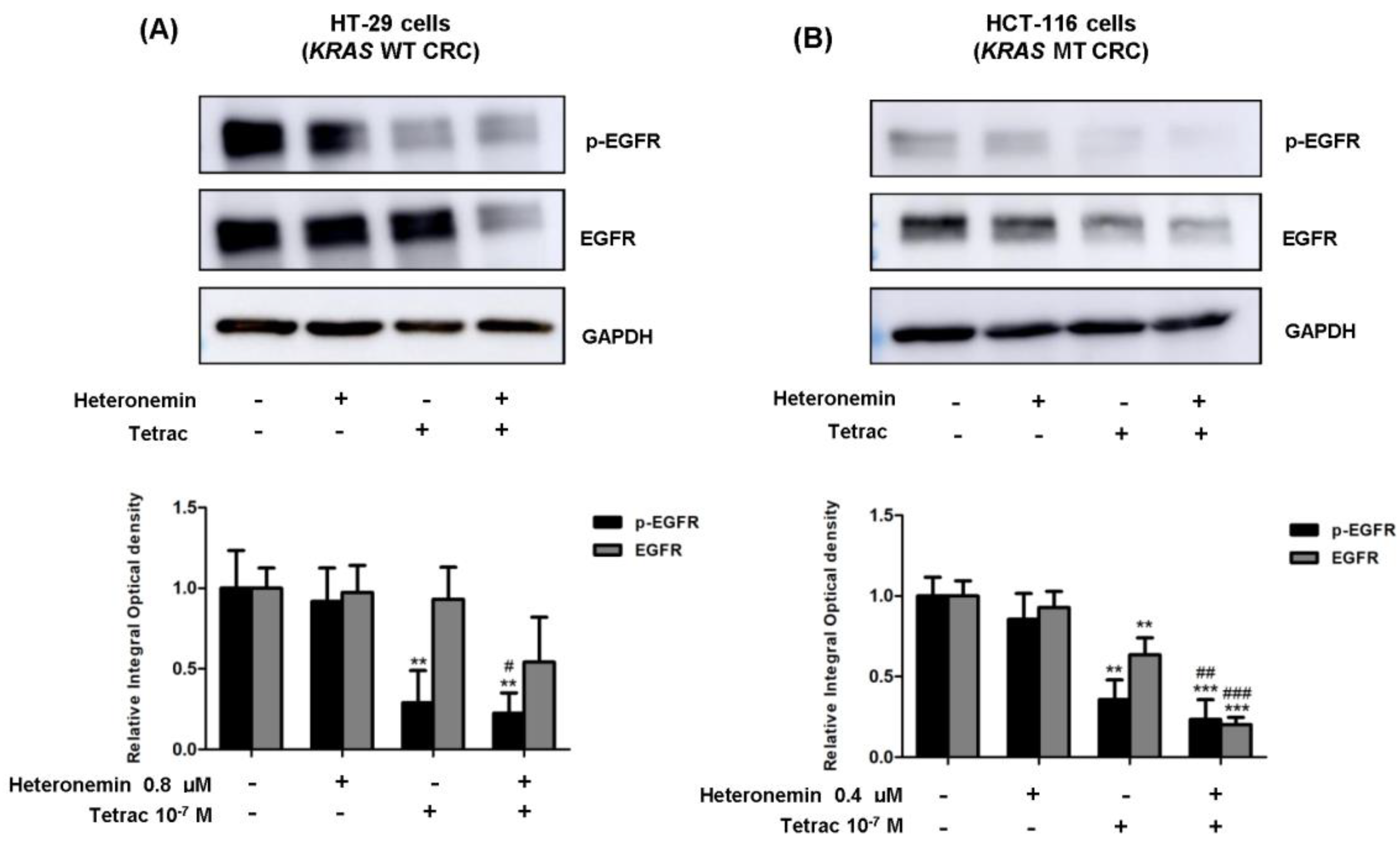 Marinedrugs 20 00482 g003