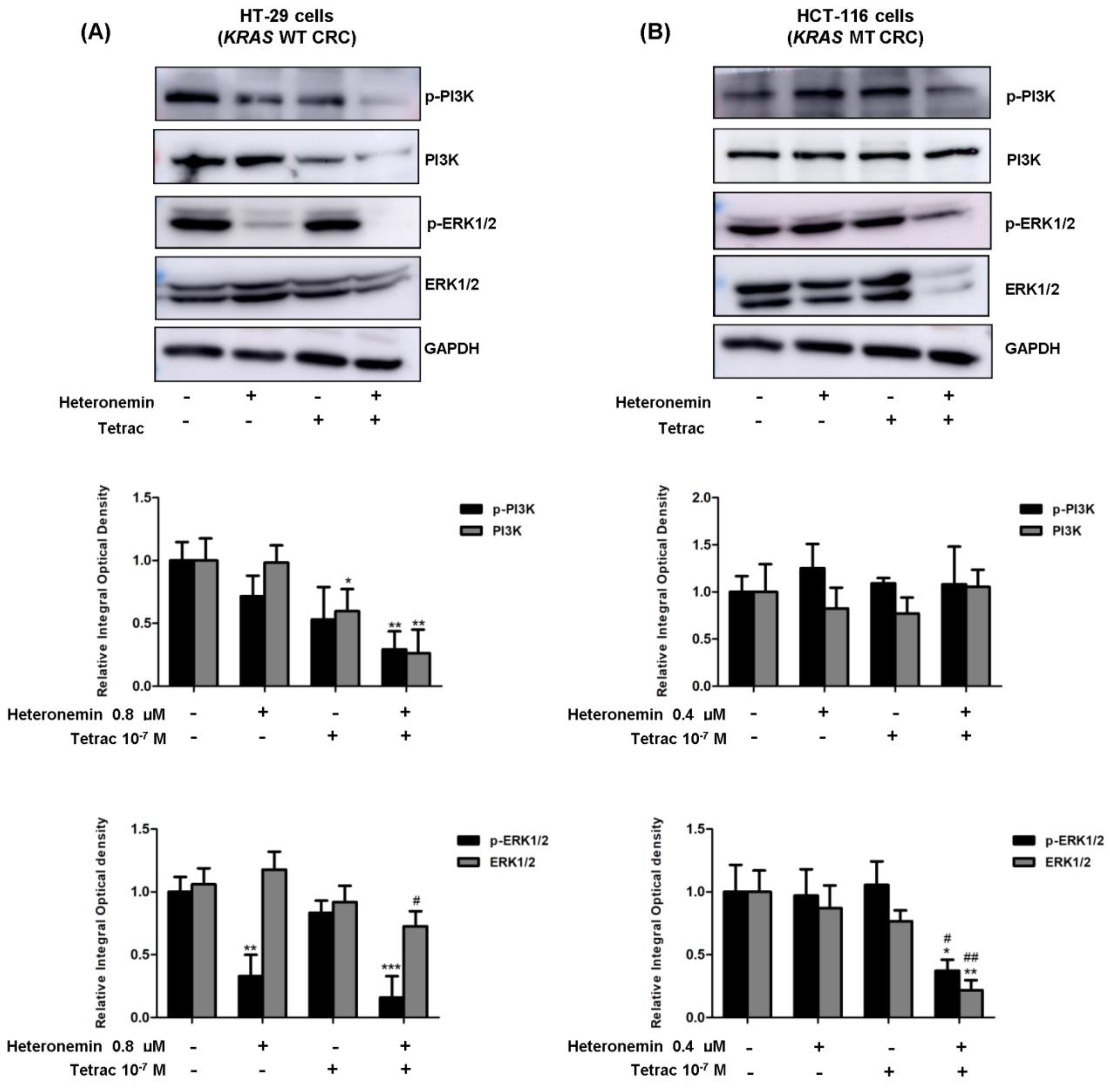Marinedrugs 20 00482 g004