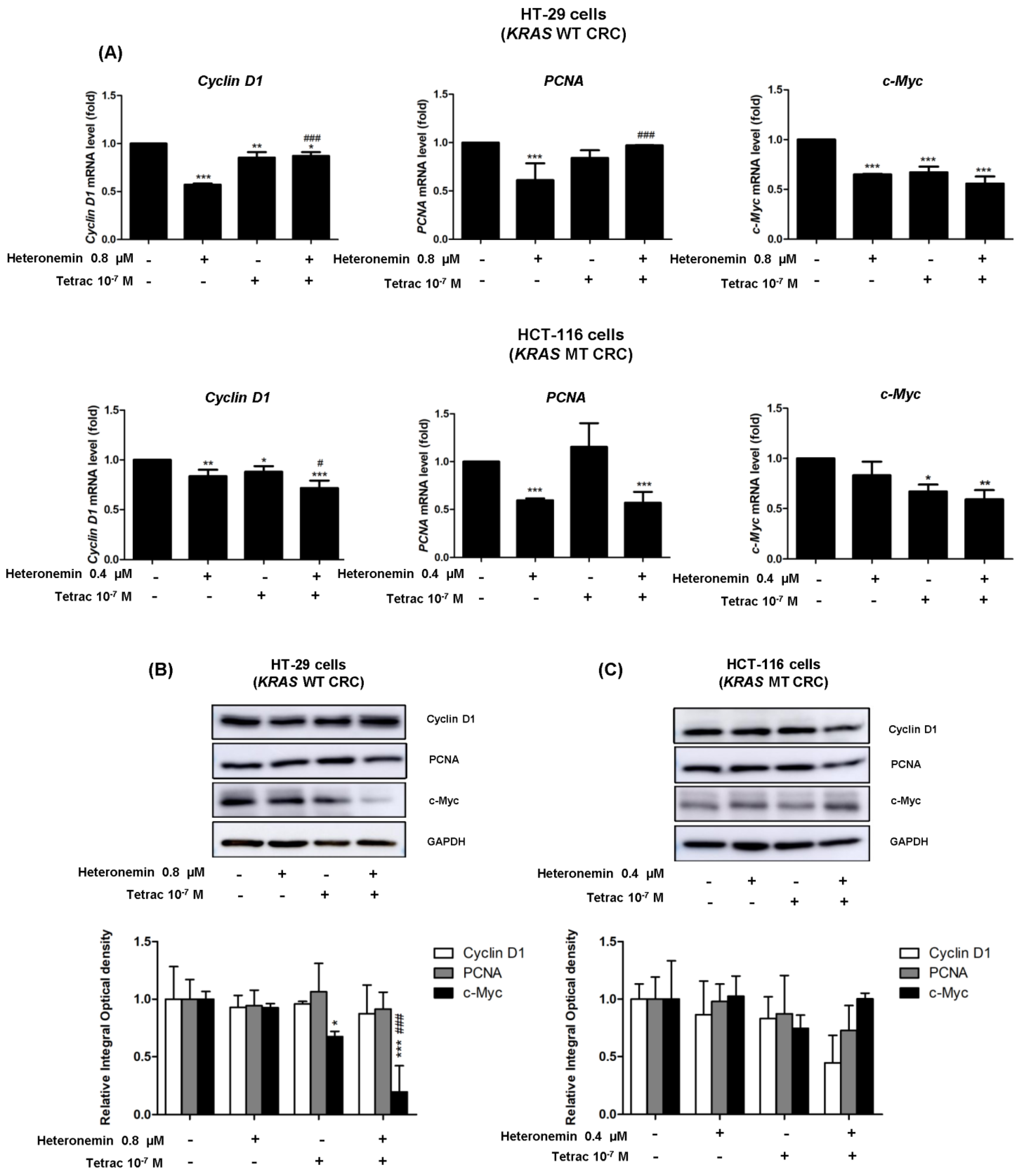 Marinedrugs 20 00482 g008