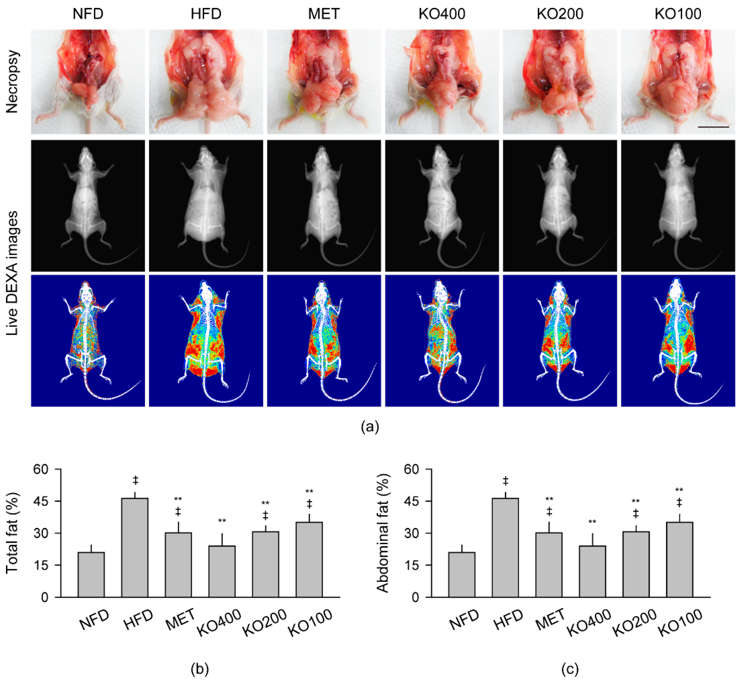 Marinedrugs 20 00483 g002