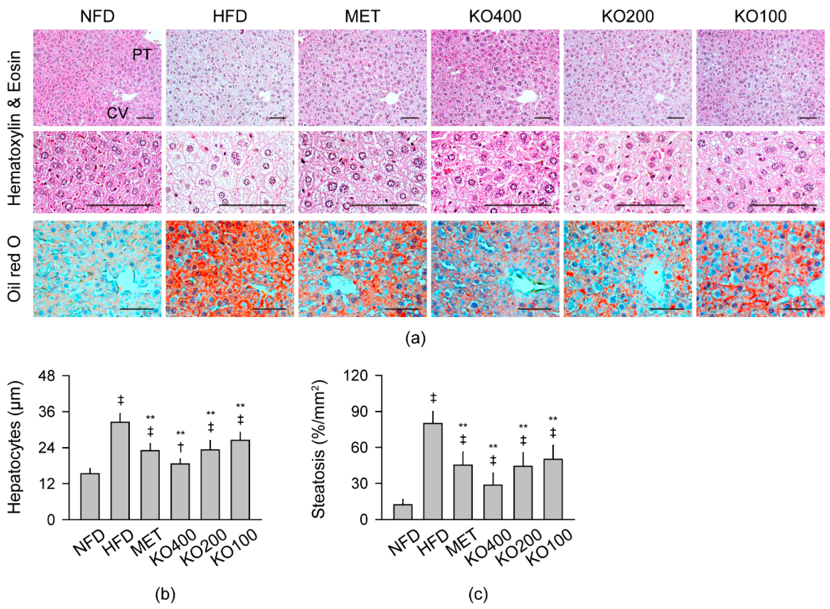 Marinedrugs 20 00483 g005
