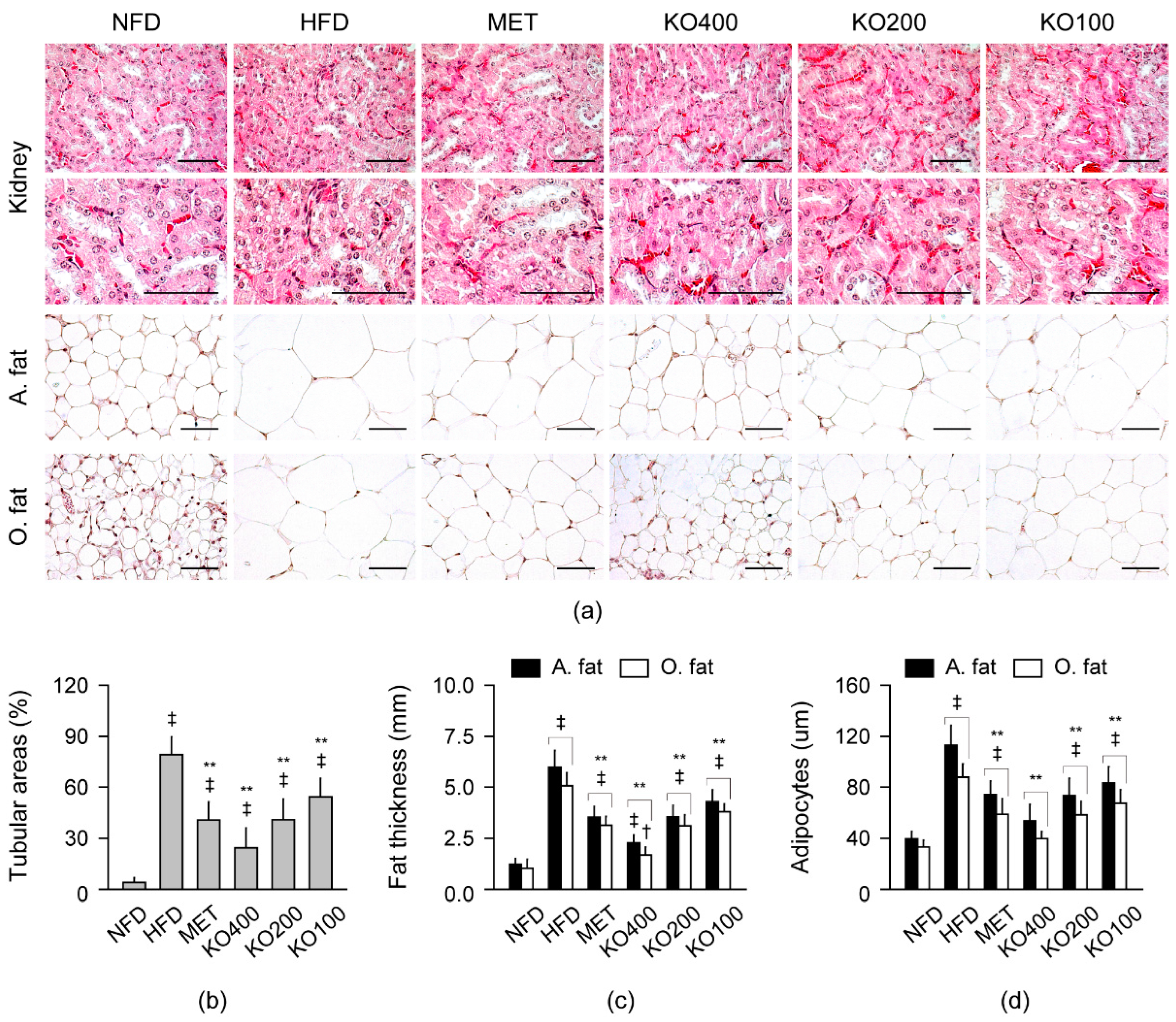 Marinedrugs 20 00483 g007