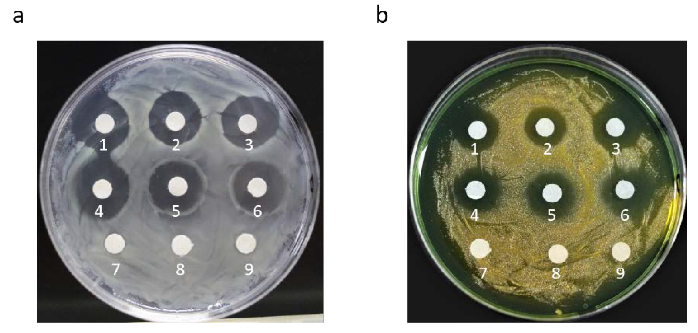 Marinedrugs 20 00484 g003
