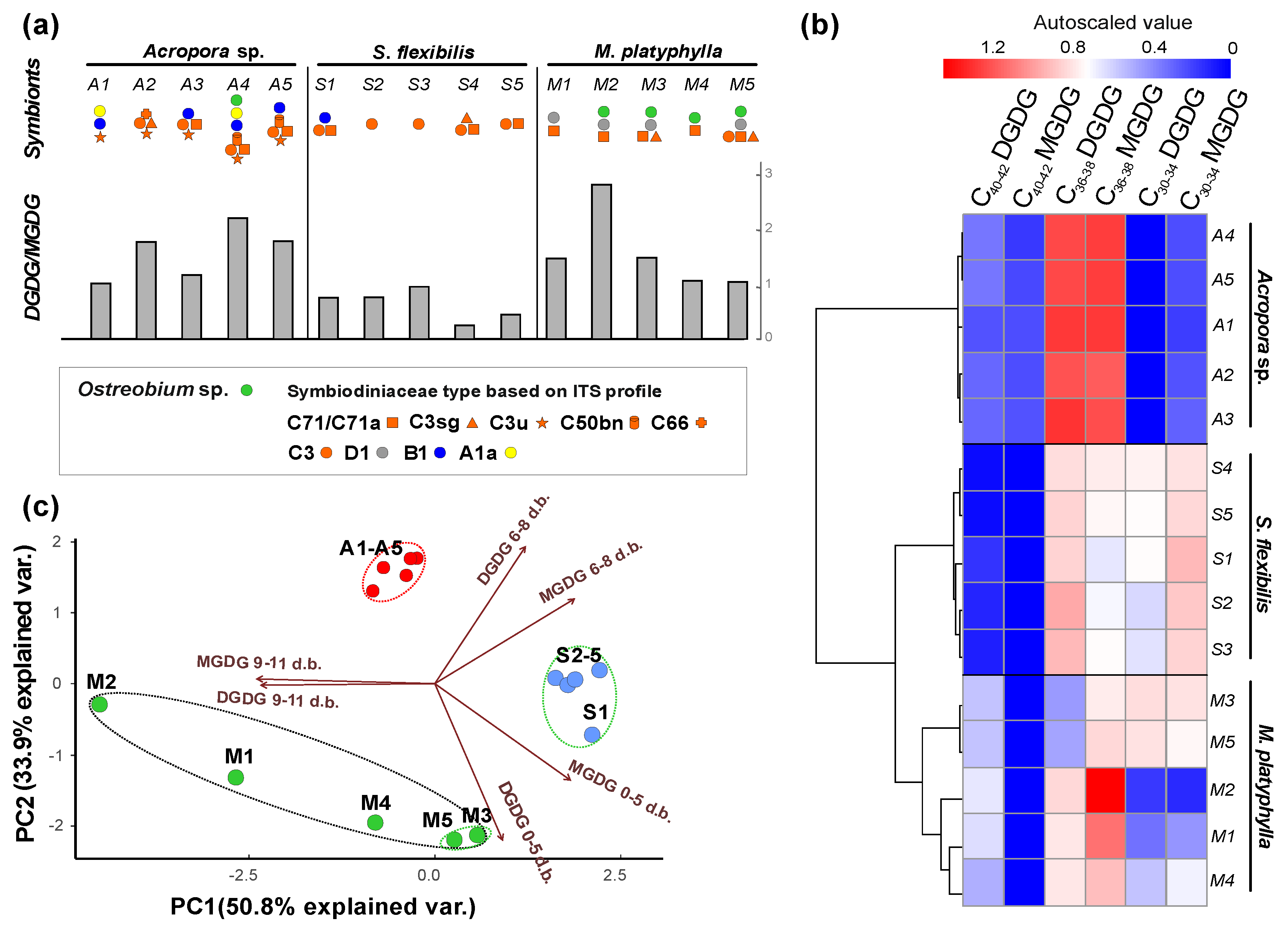 Marinedrugs 20 00485 g002