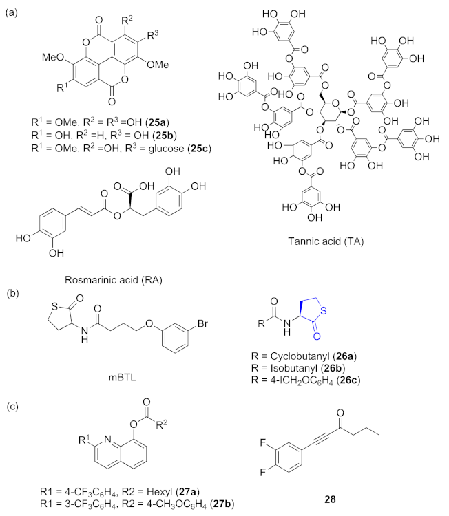 Marinedrugs 20 00488 g008 550